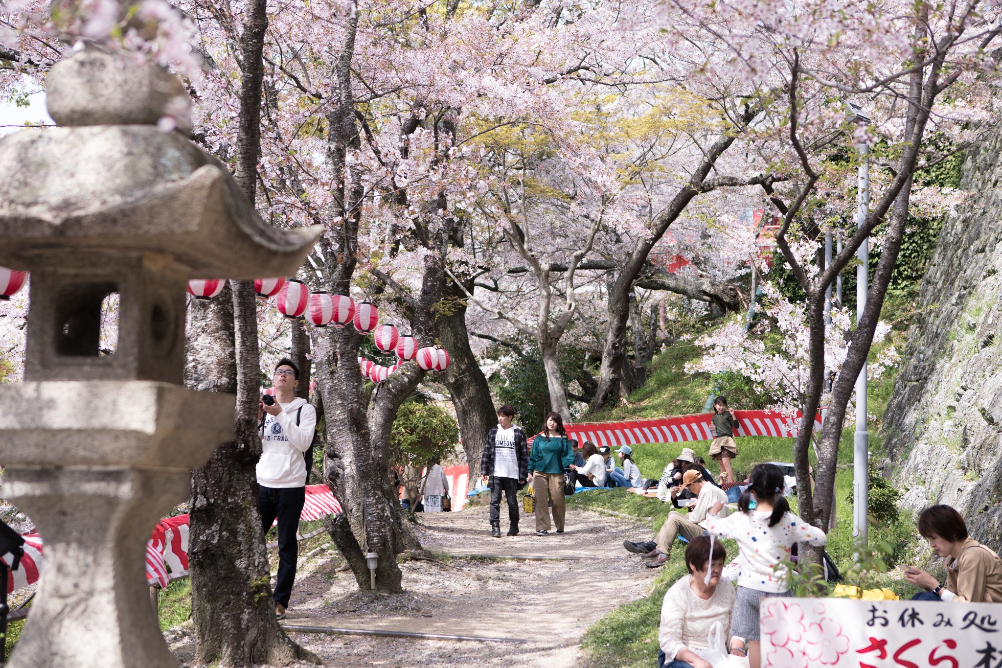 和歌山市自助遊攻略