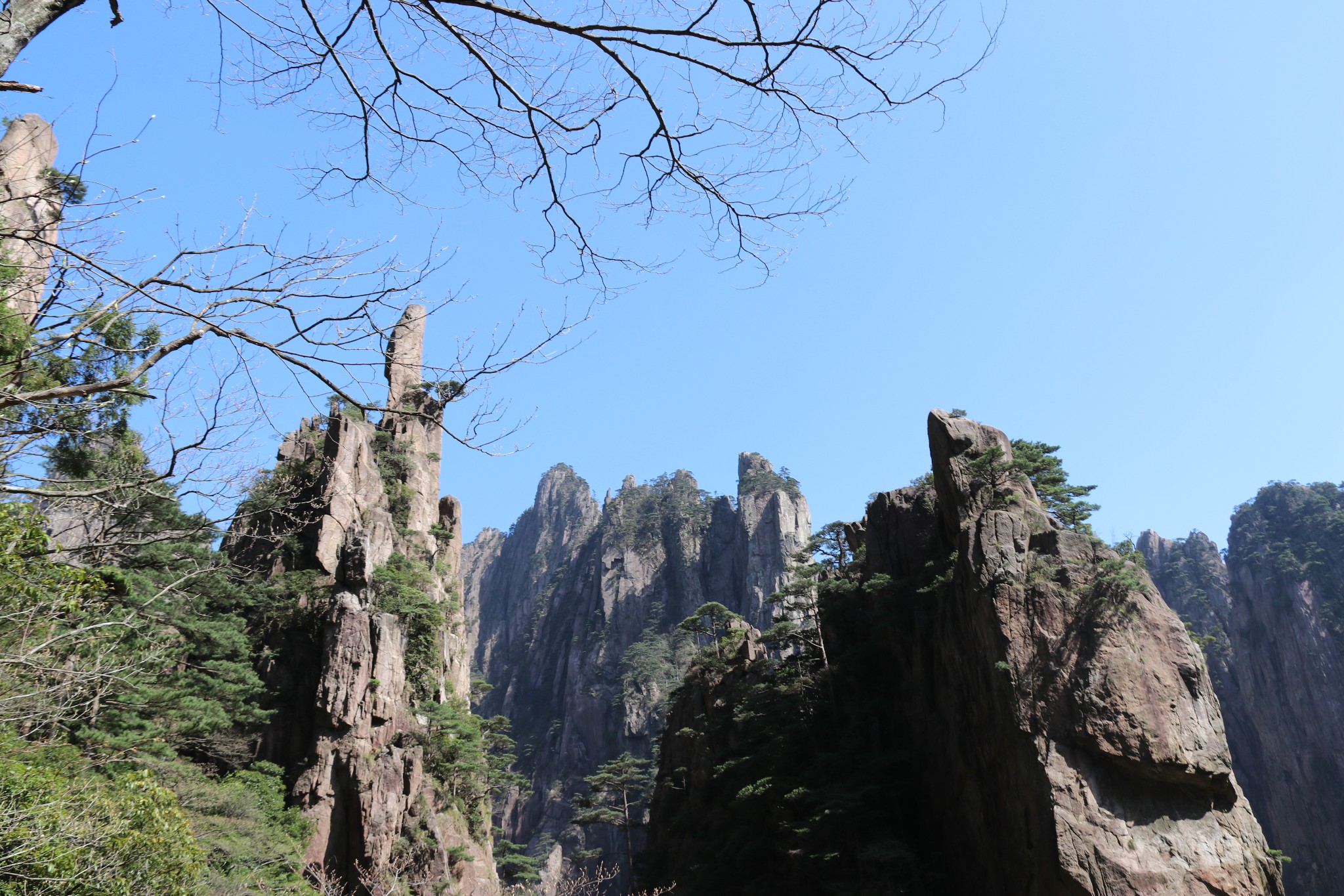 黃山 以後真的不爬山了圖片1151,黃山旅遊景點,風景名勝 - 馬蜂窩圖庫