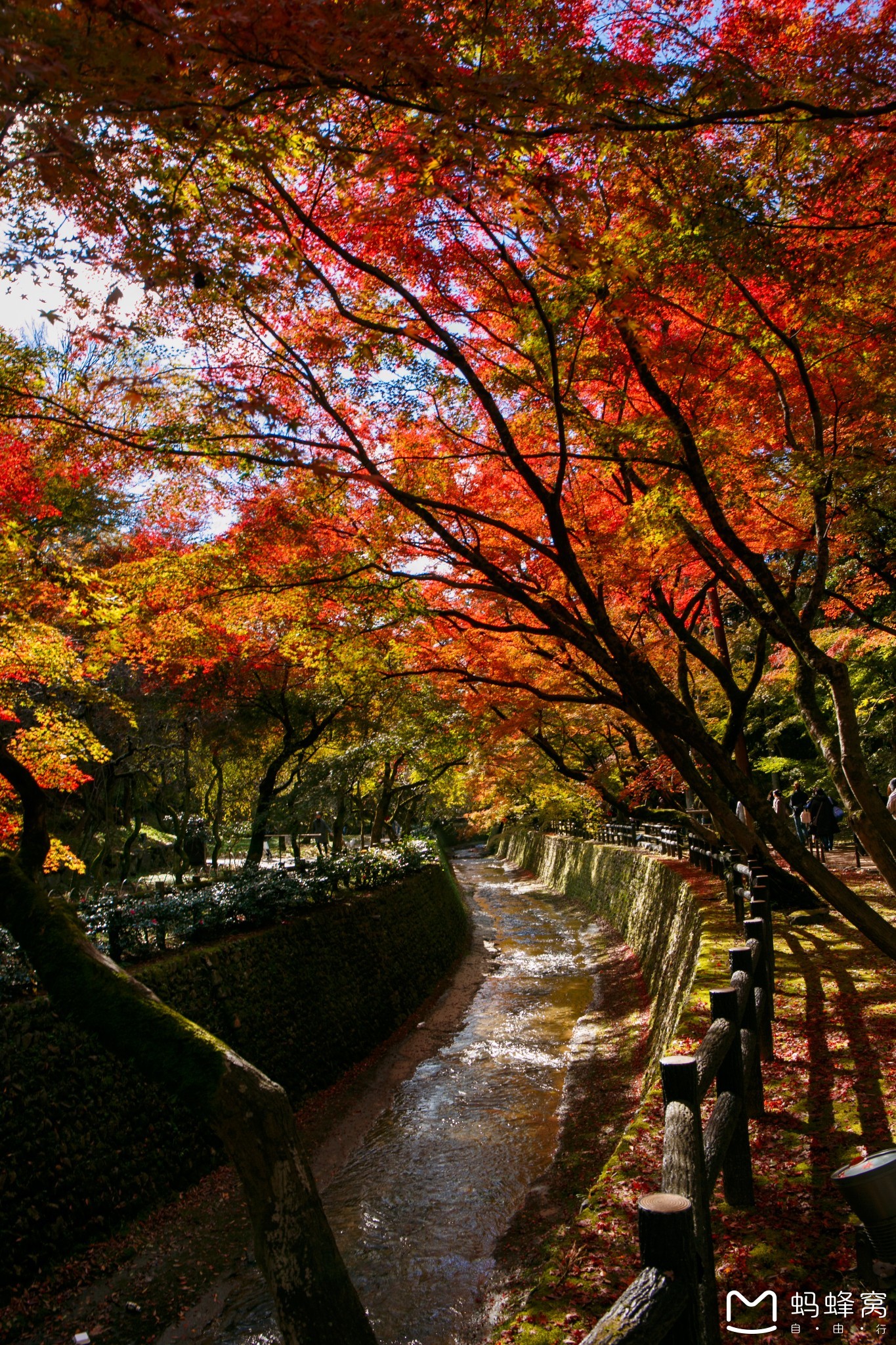 亭臺秋紅最關西|紅葉季關西漫遊 (和歌山 高野山 京都 奈良 大阪 犬鳴