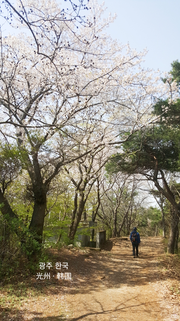 韓國自助遊攻略