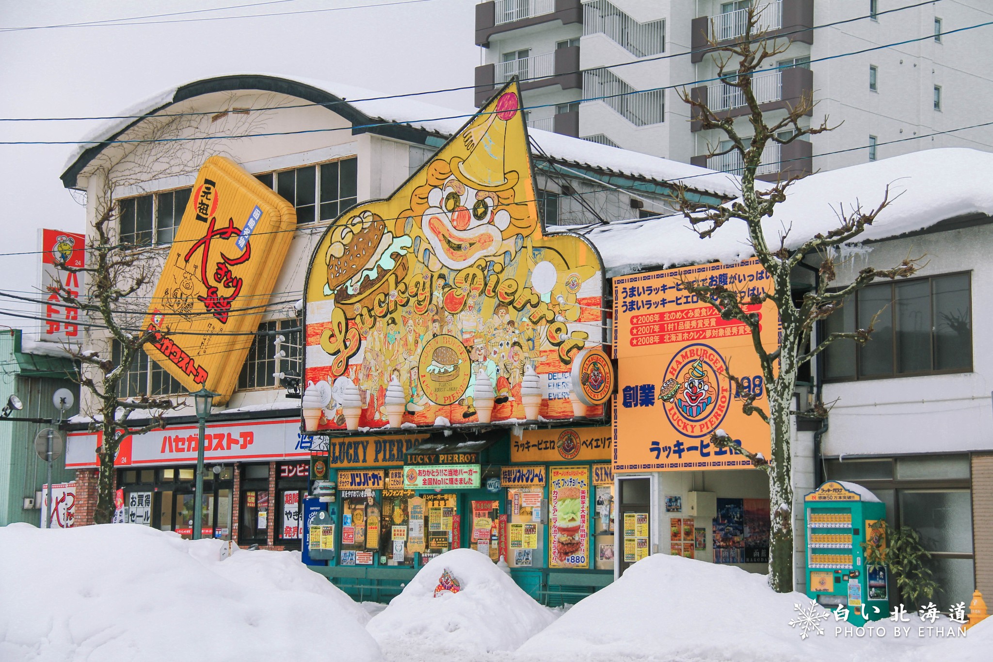 北海道自助遊攻略