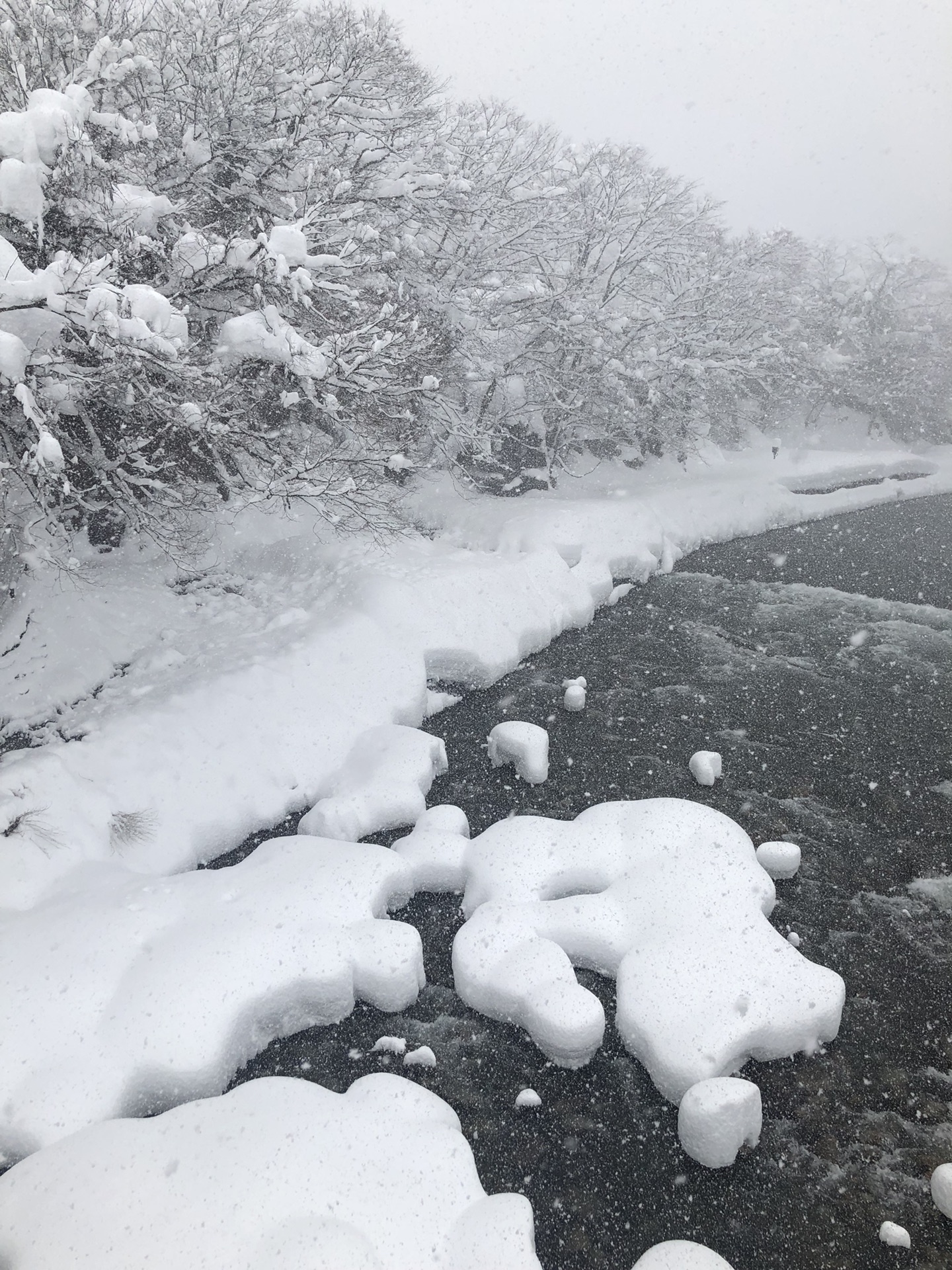 名古屋自助遊攻略