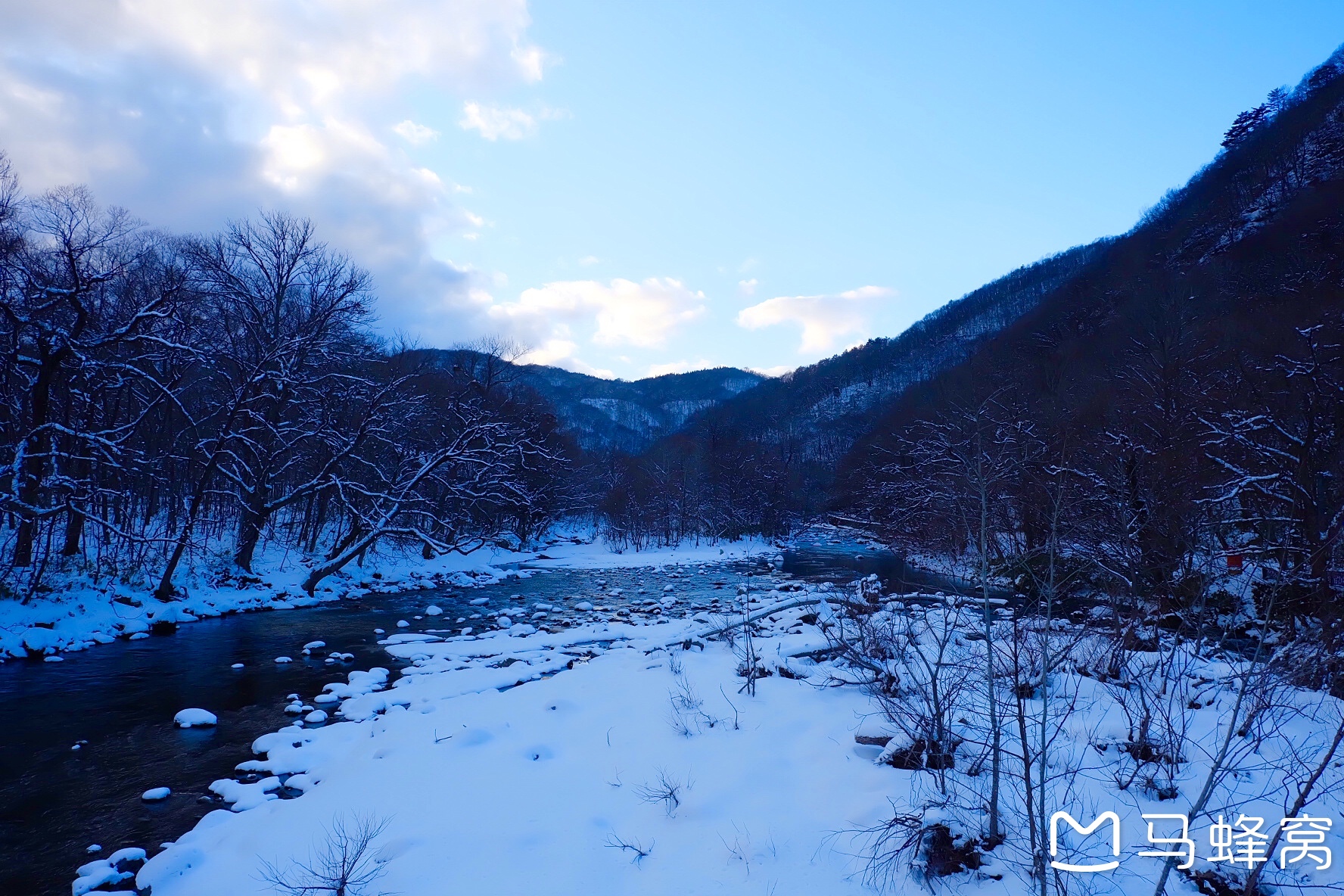 雪之青森,味之日本,初游日本七日(东京