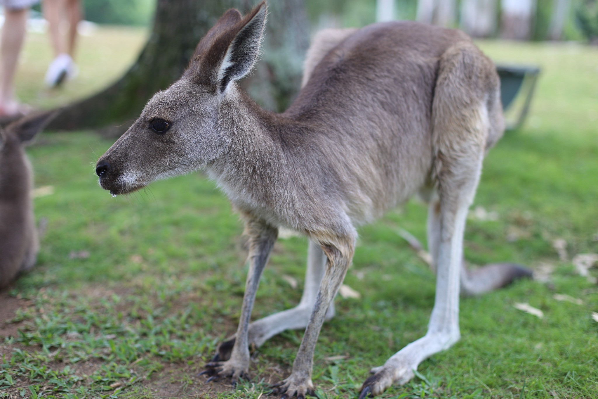 wKgBEFqiCXyATr9jAAdupCdPBeo81.jpeg?imageView2%2F2%2Fw%2F680%2Fq%2F90%7CimageMogr2%2Fstrip%2Fquality%2F90