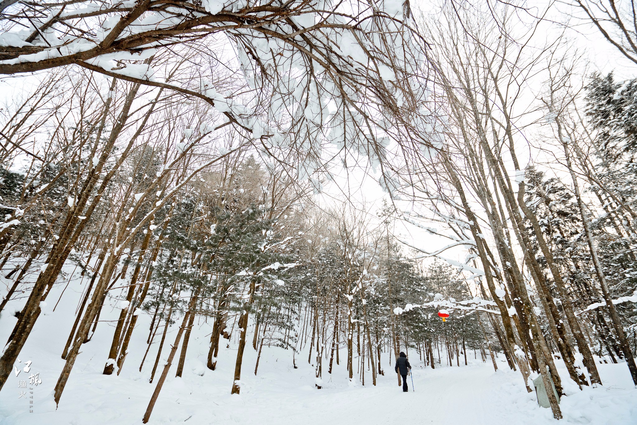 雪鄉自助遊攻略