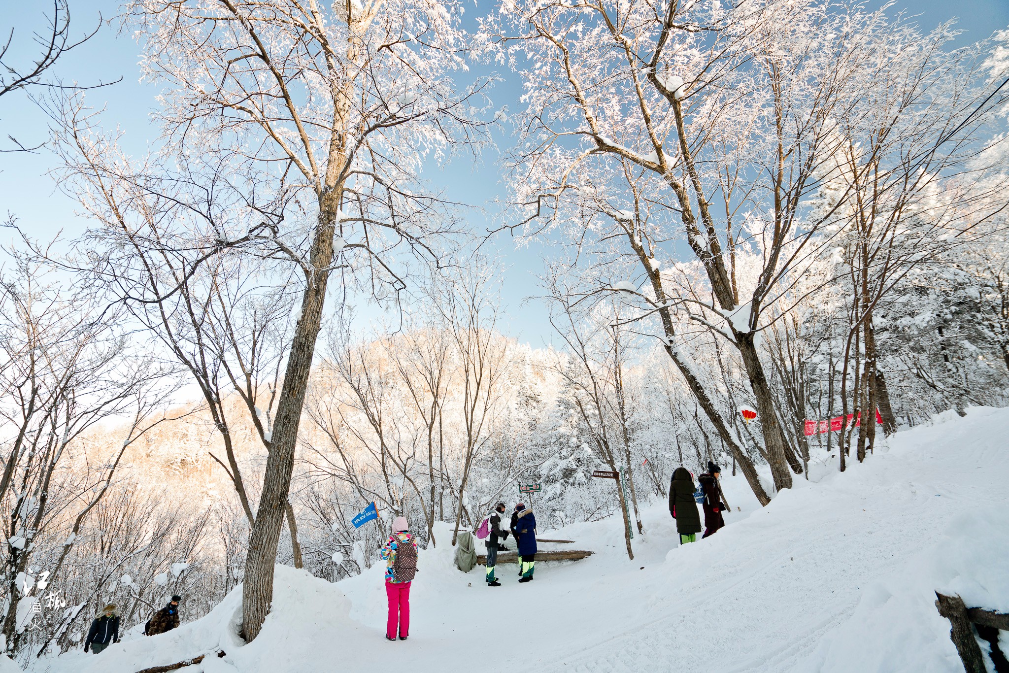 雪鄉自助遊攻略