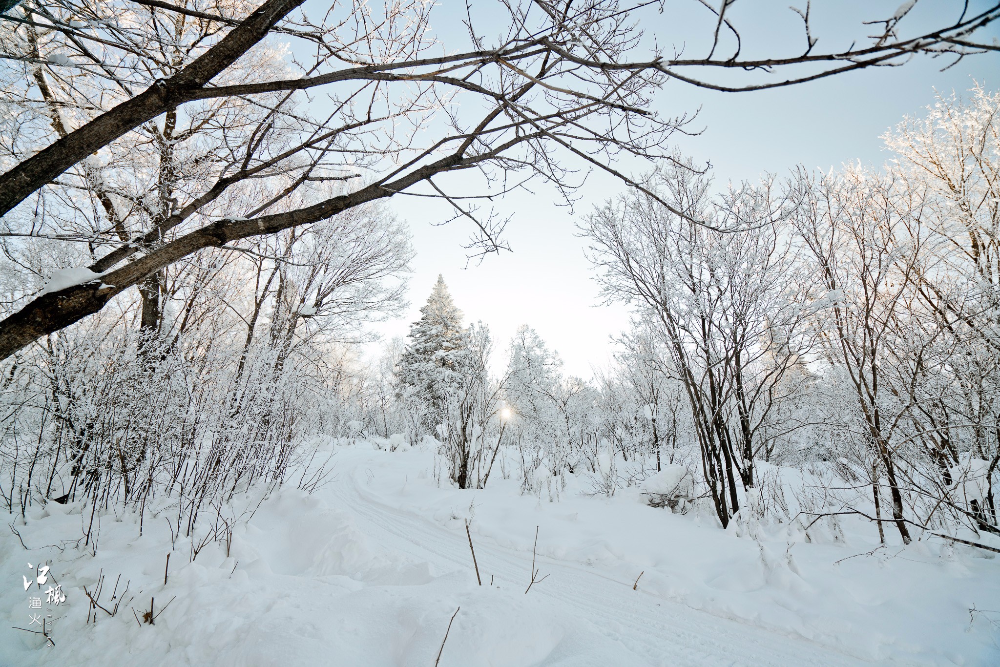 雪鄉自助遊攻略