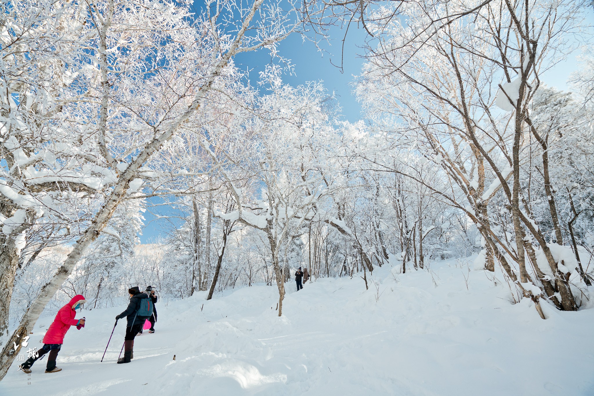 雪鄉自助遊攻略