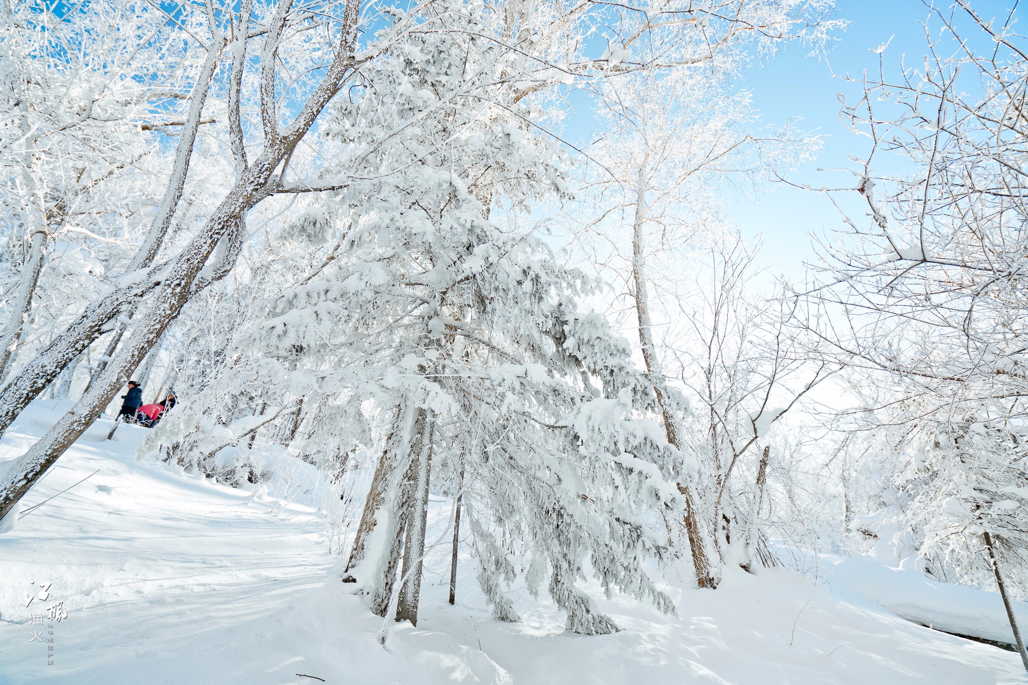 雪鄉自助遊攻略