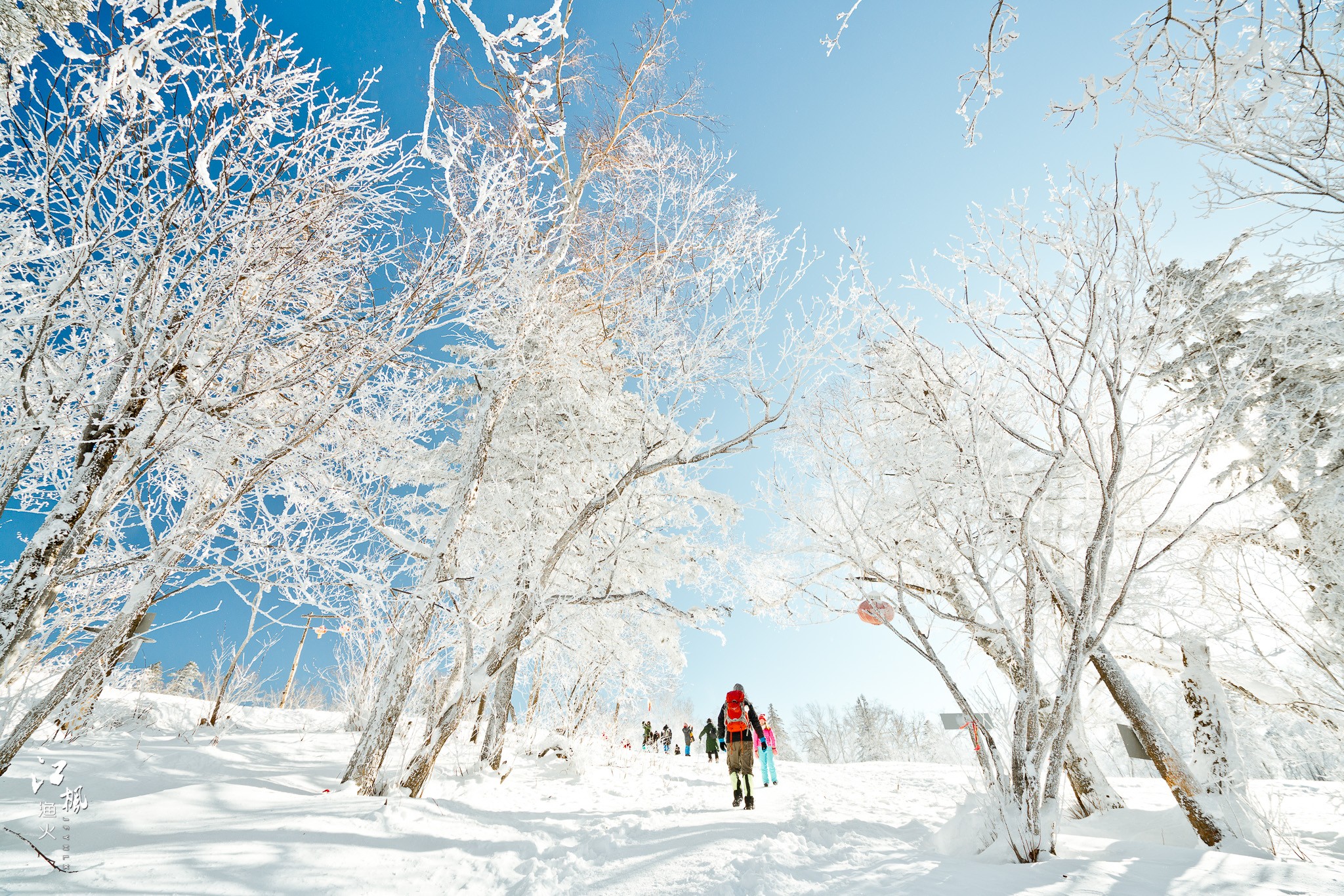 雪鄉自助遊攻略