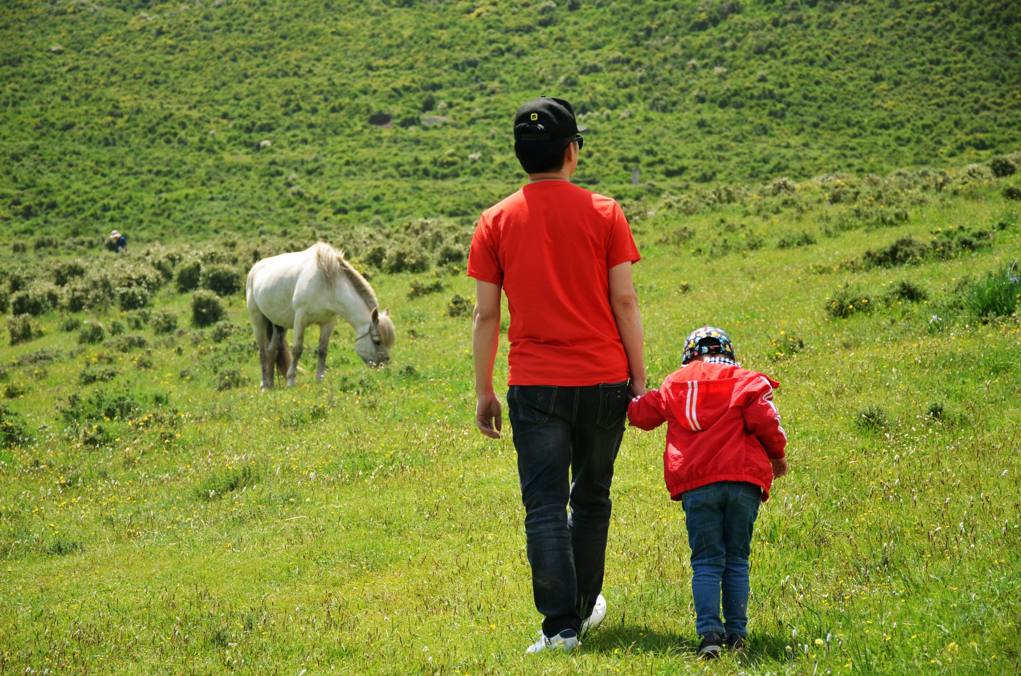 西北亲子旅游_【西北亲子旅游景点大全】