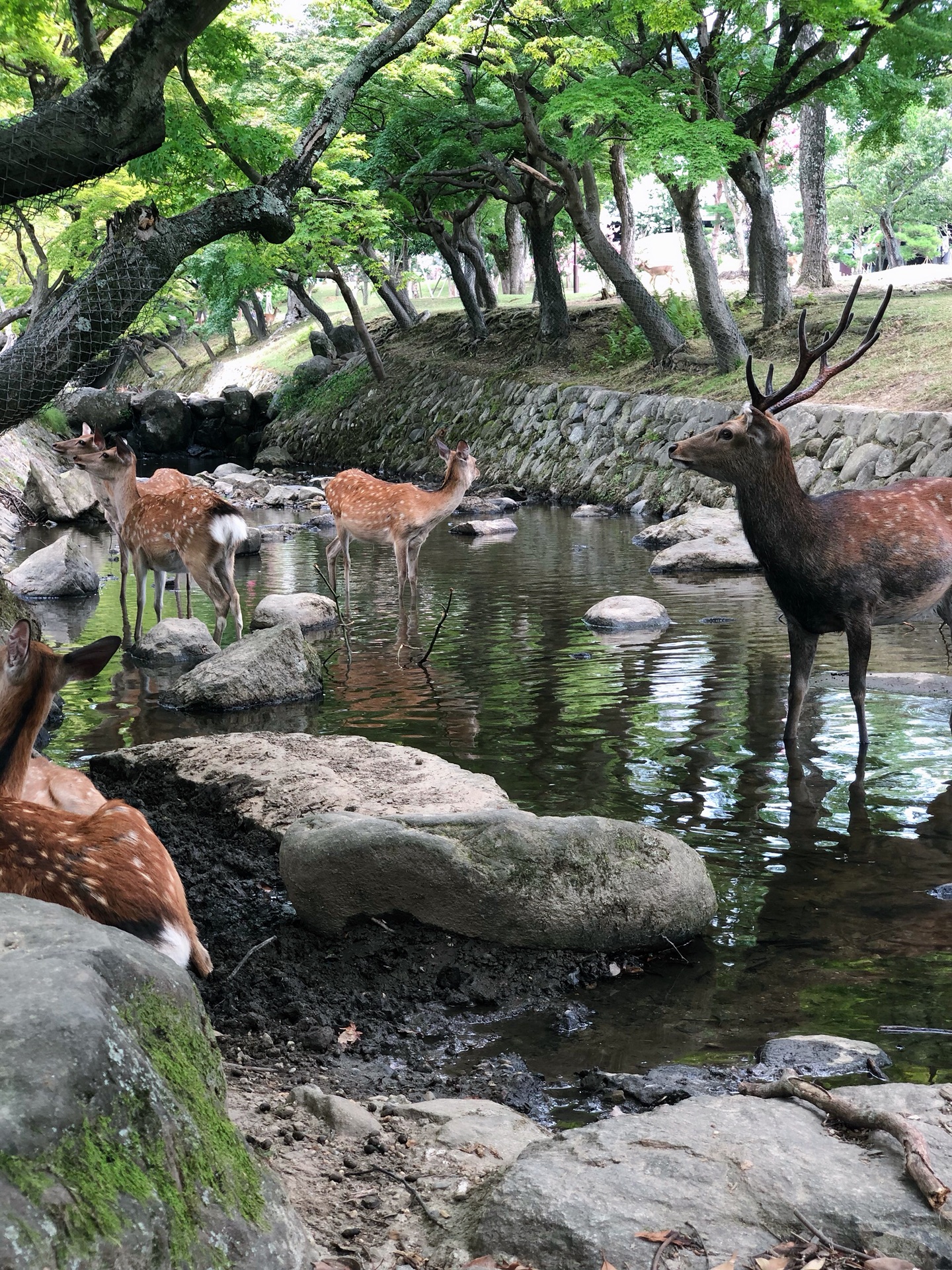 名古屋自助遊攻略