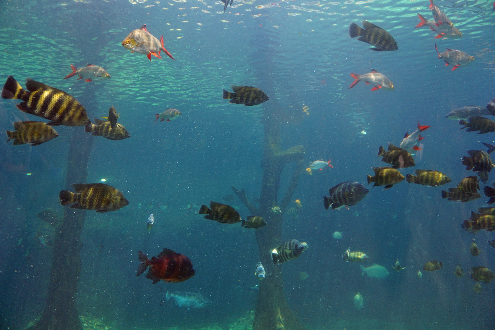 wKgED1ucidaAQX5UAAk69Cg8CWg81.jpeg?imageView2%2F2%2Fw%2F680%2Fq%2F90%7CimageMogr2%2Fstrip%2Fquality%2F90