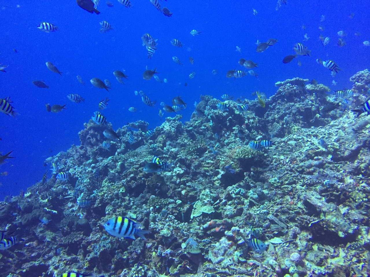 停泊島自助遊攻略