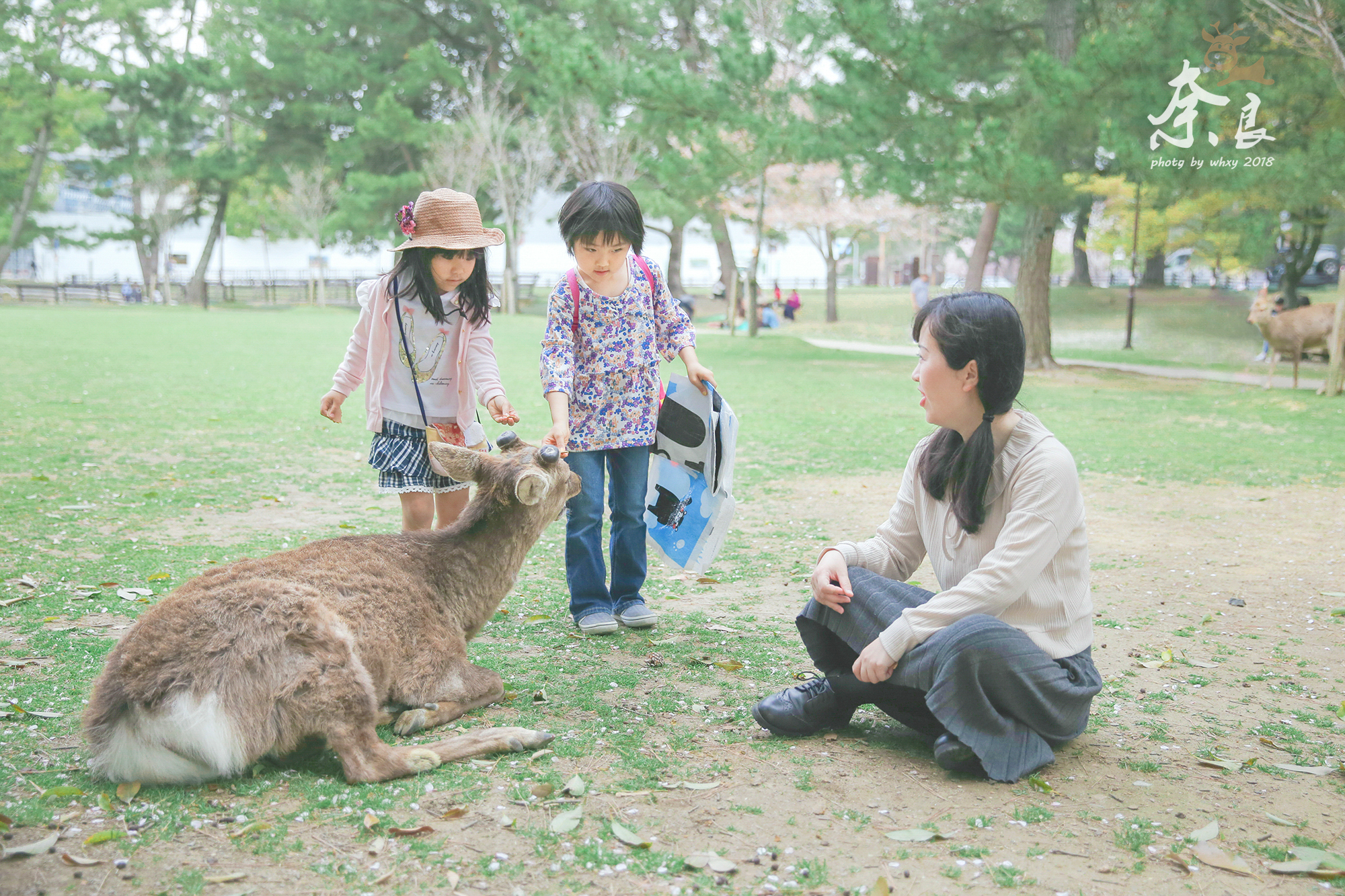 京都自助遊攻略