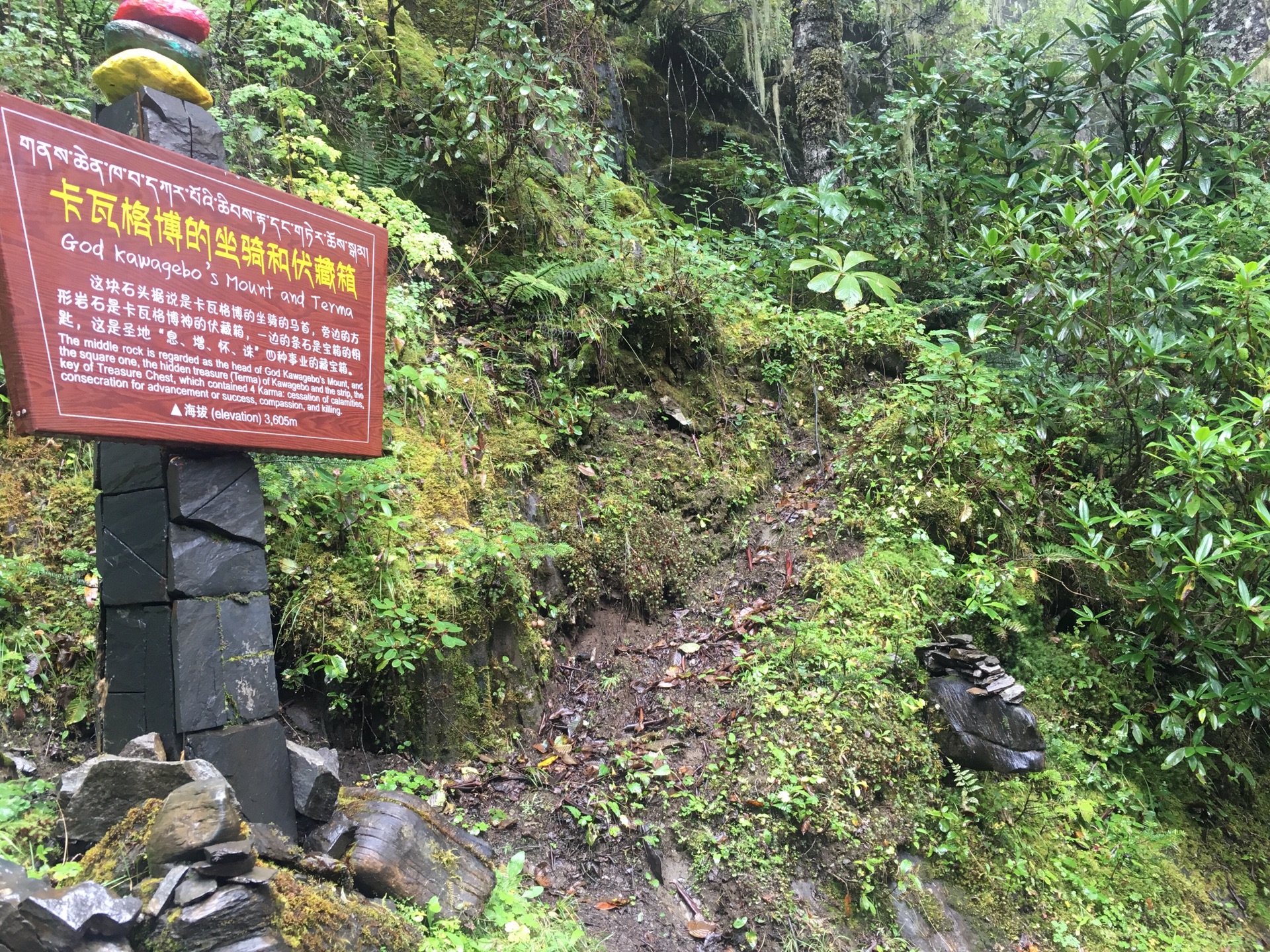 雨崩自助遊攻略