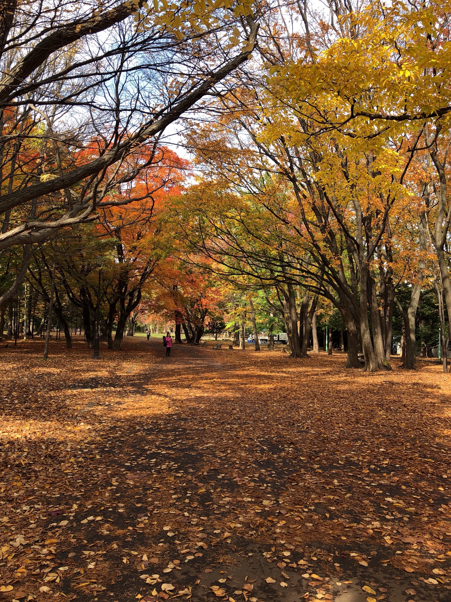 札幌自助遊攻略