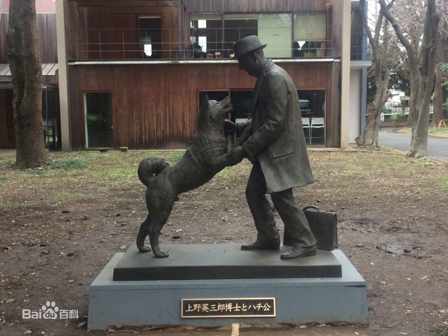 東京自助遊攻略