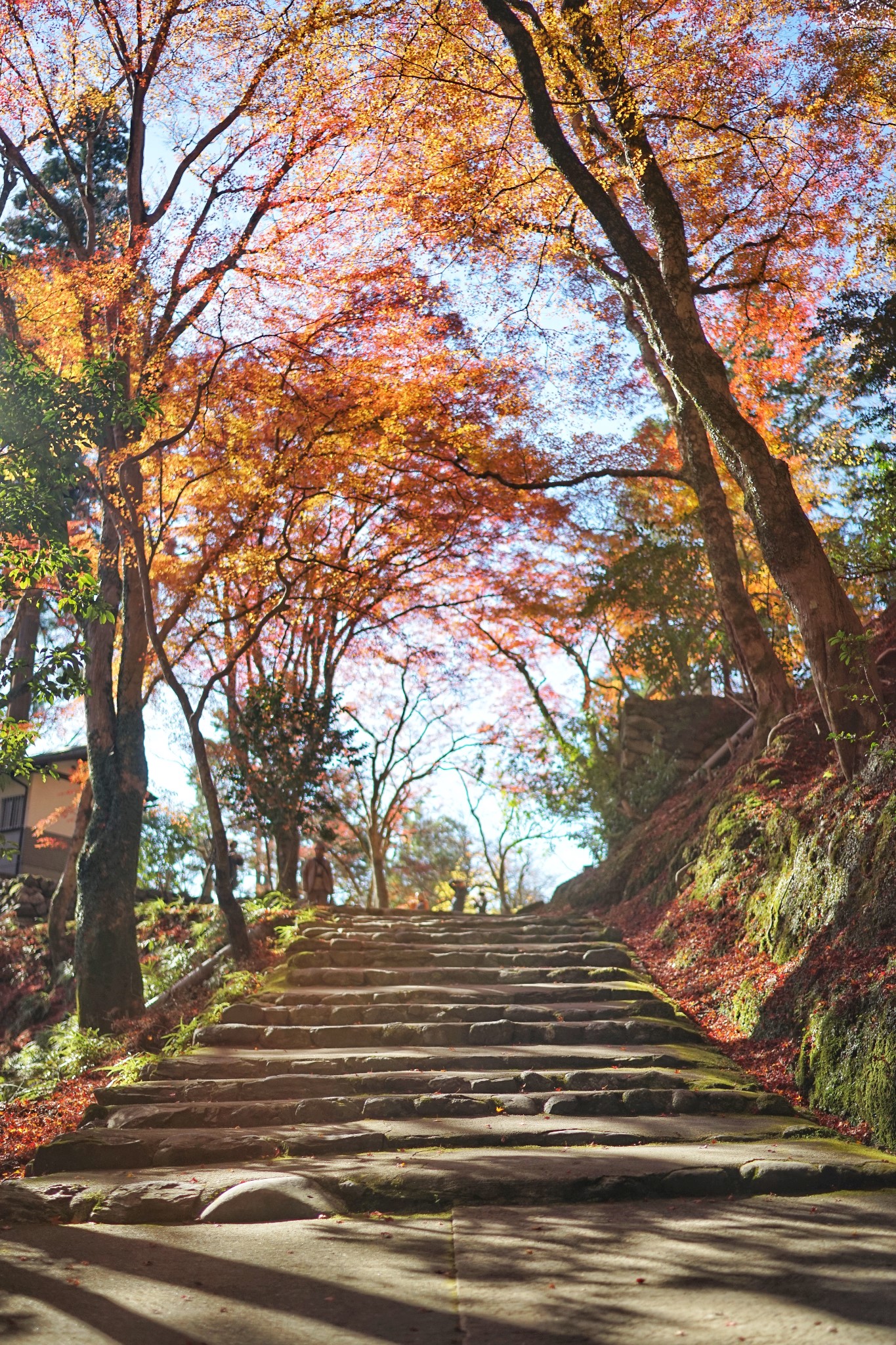 京都自助遊攻略