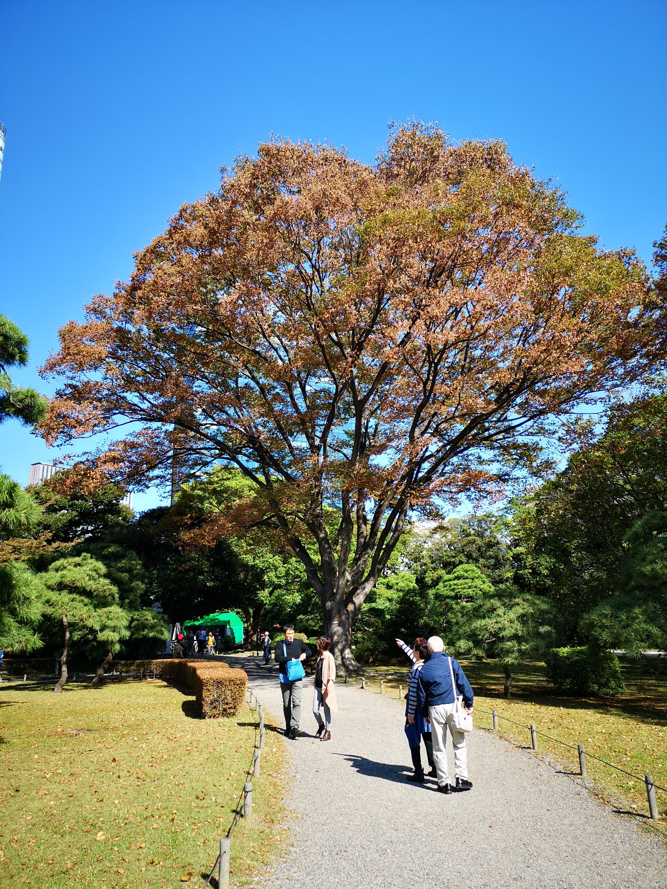 東京自助遊攻略