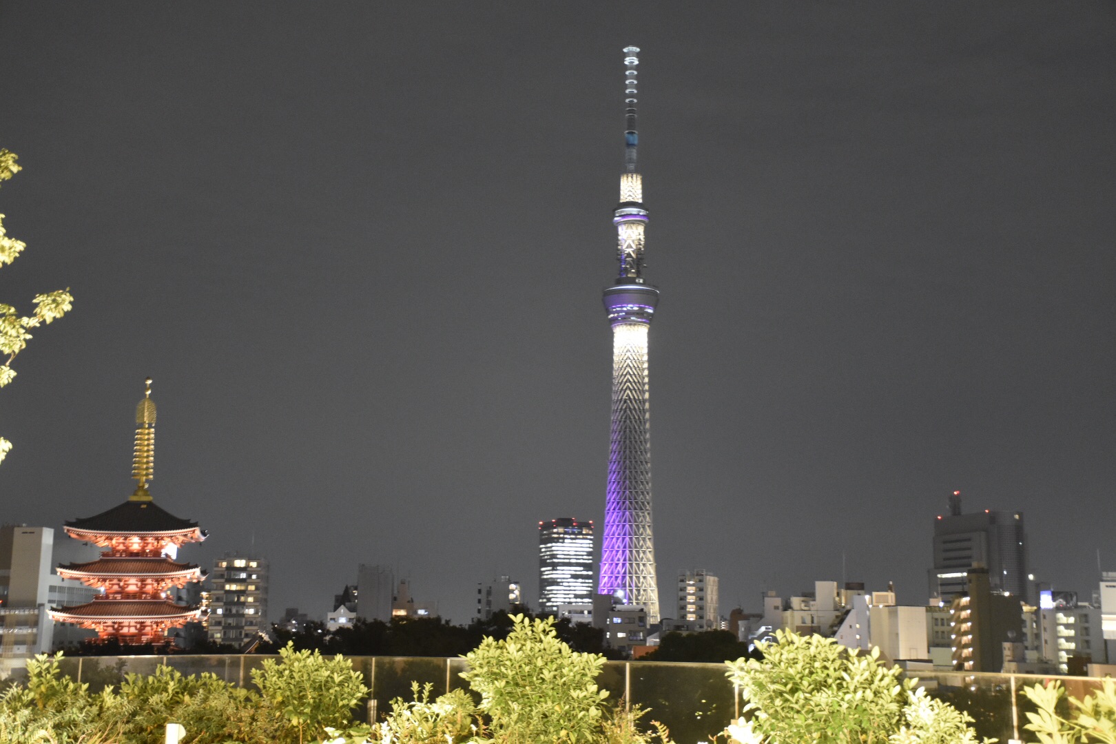 東京自助遊攻略