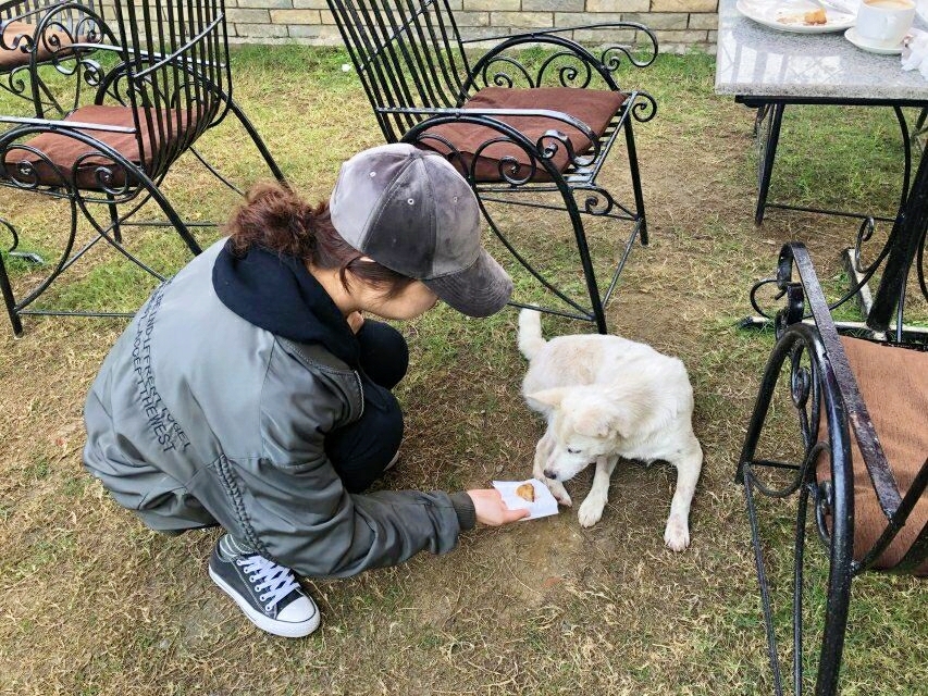 尼泊爾自助遊攻略