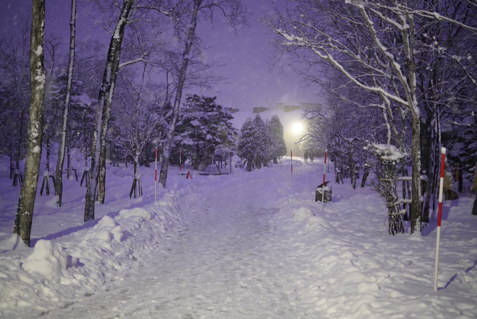 北海道自助遊攻略