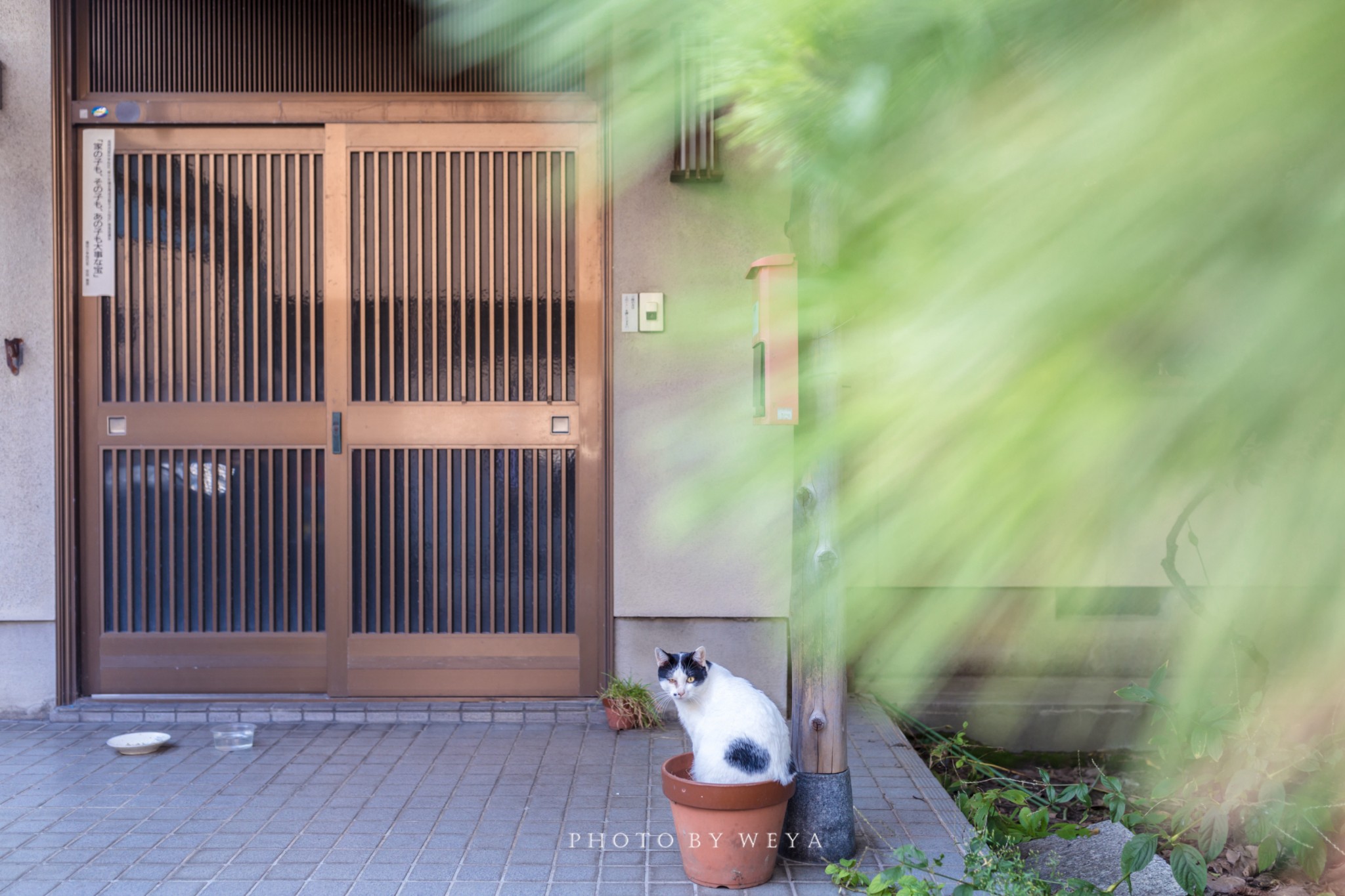 日本自助遊攻略