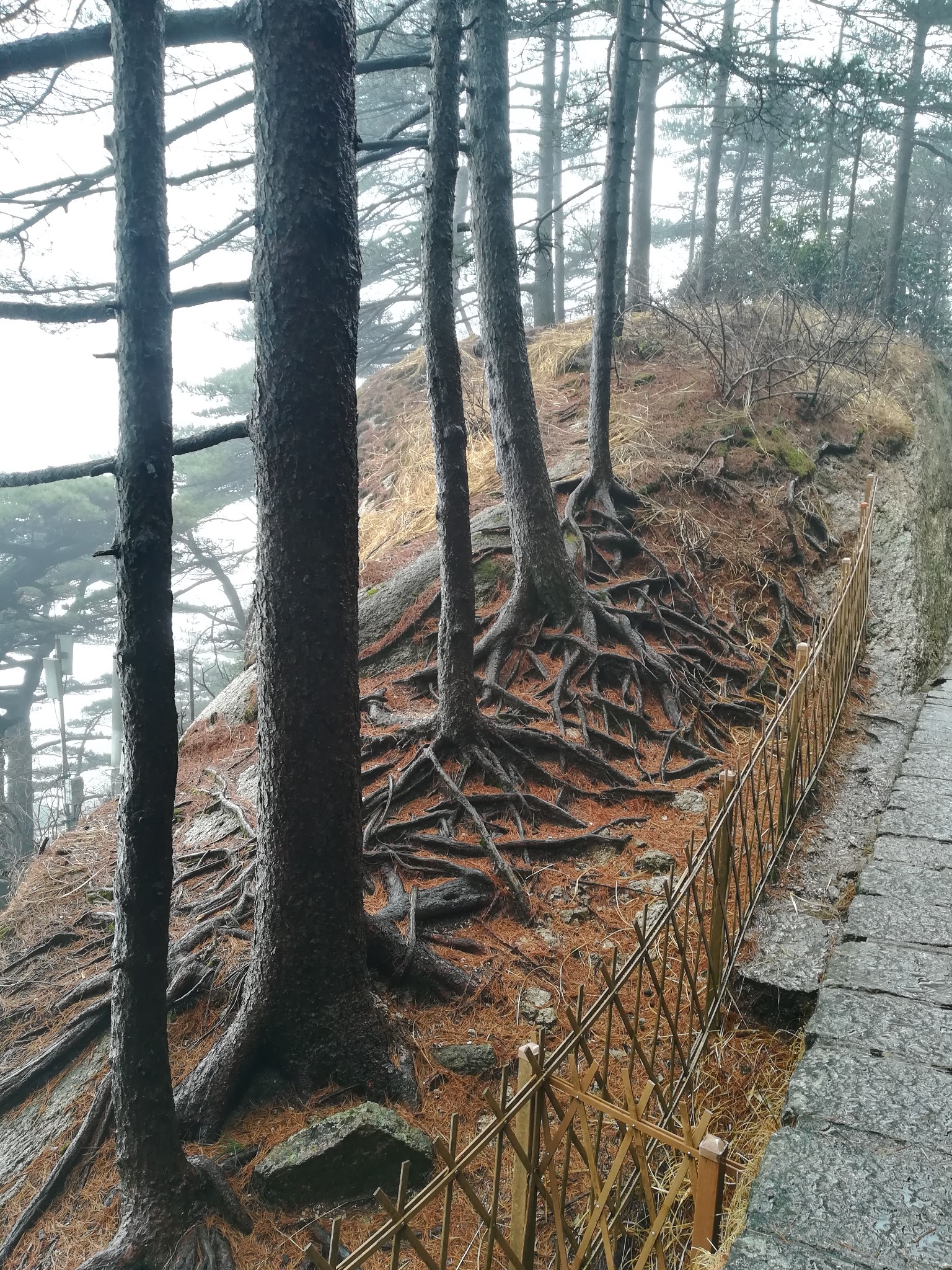 黃山自助遊攻略