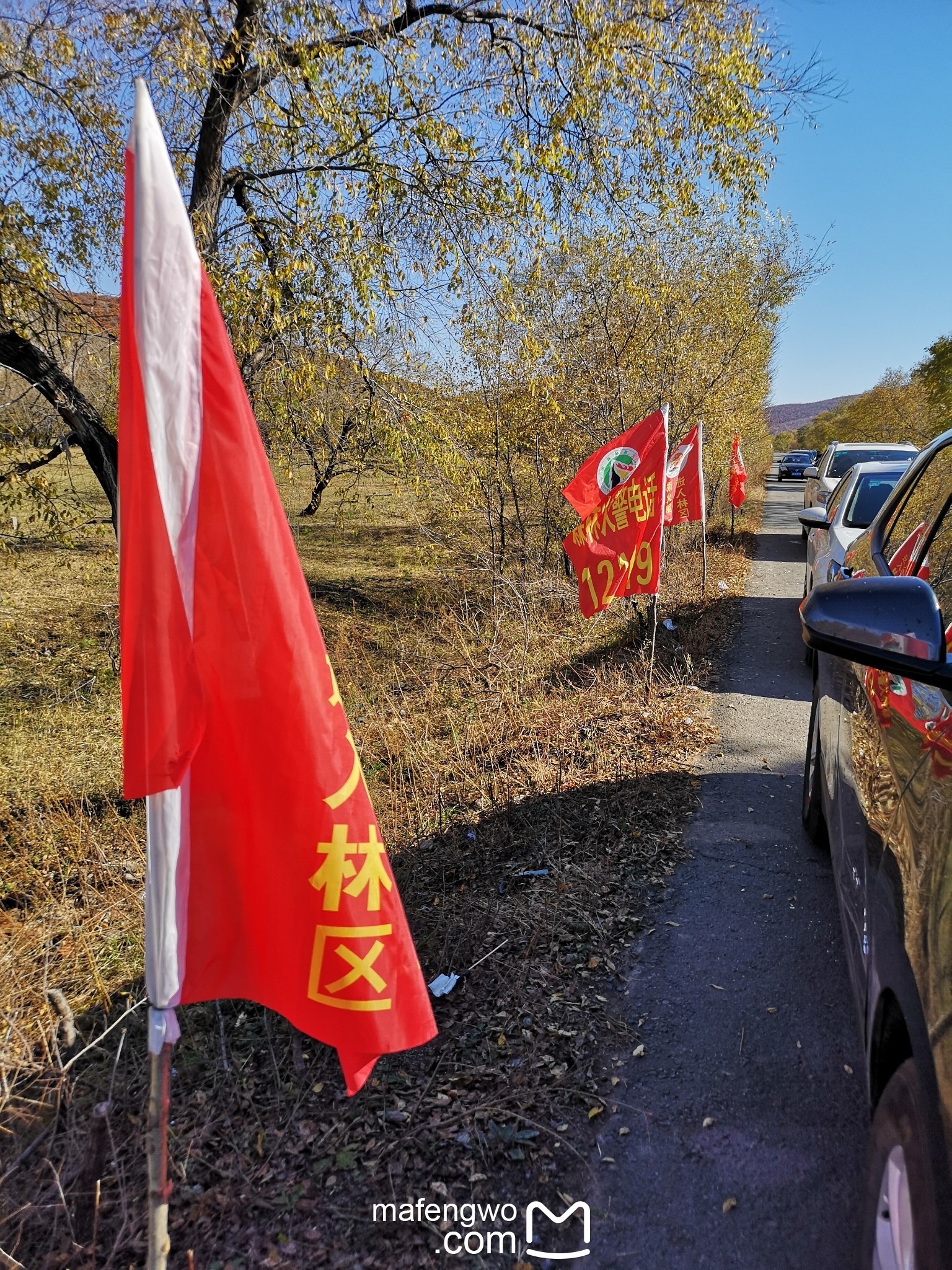 阿爾山自助遊攻略