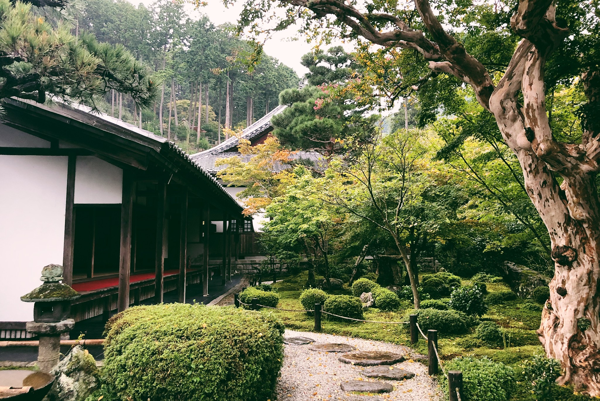 京都自助遊攻略