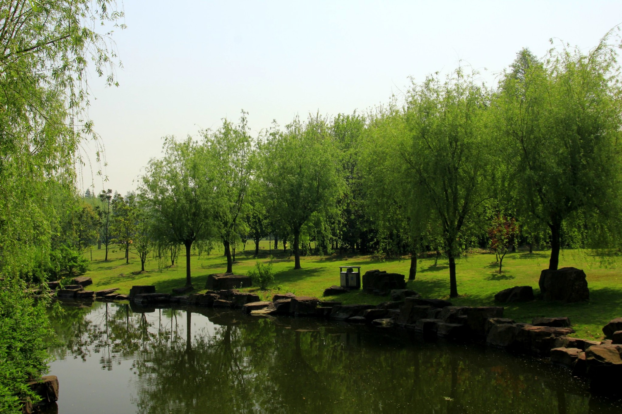上海浦东森林公园图片