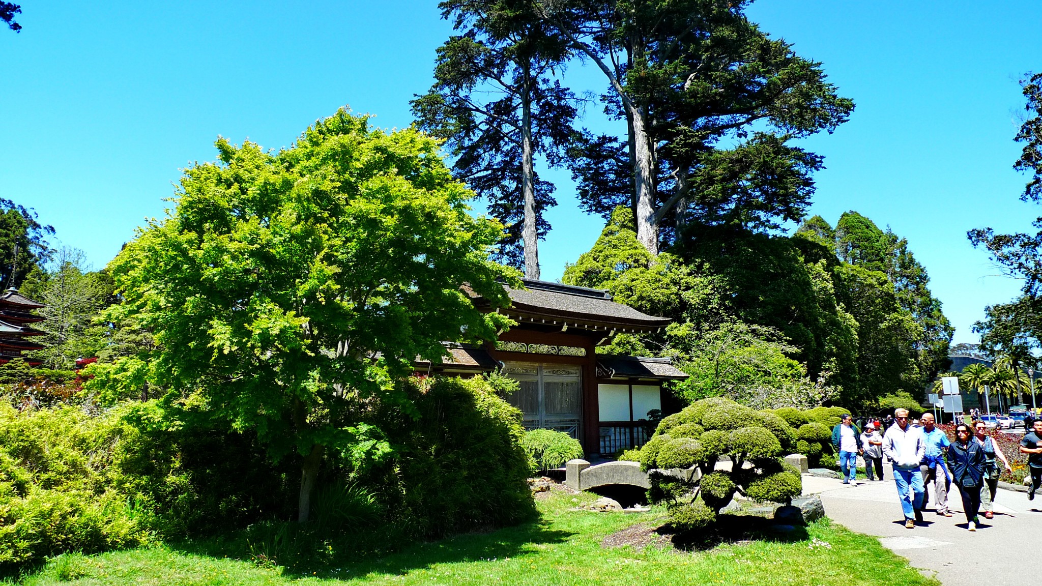 舊金山自助遊攻略