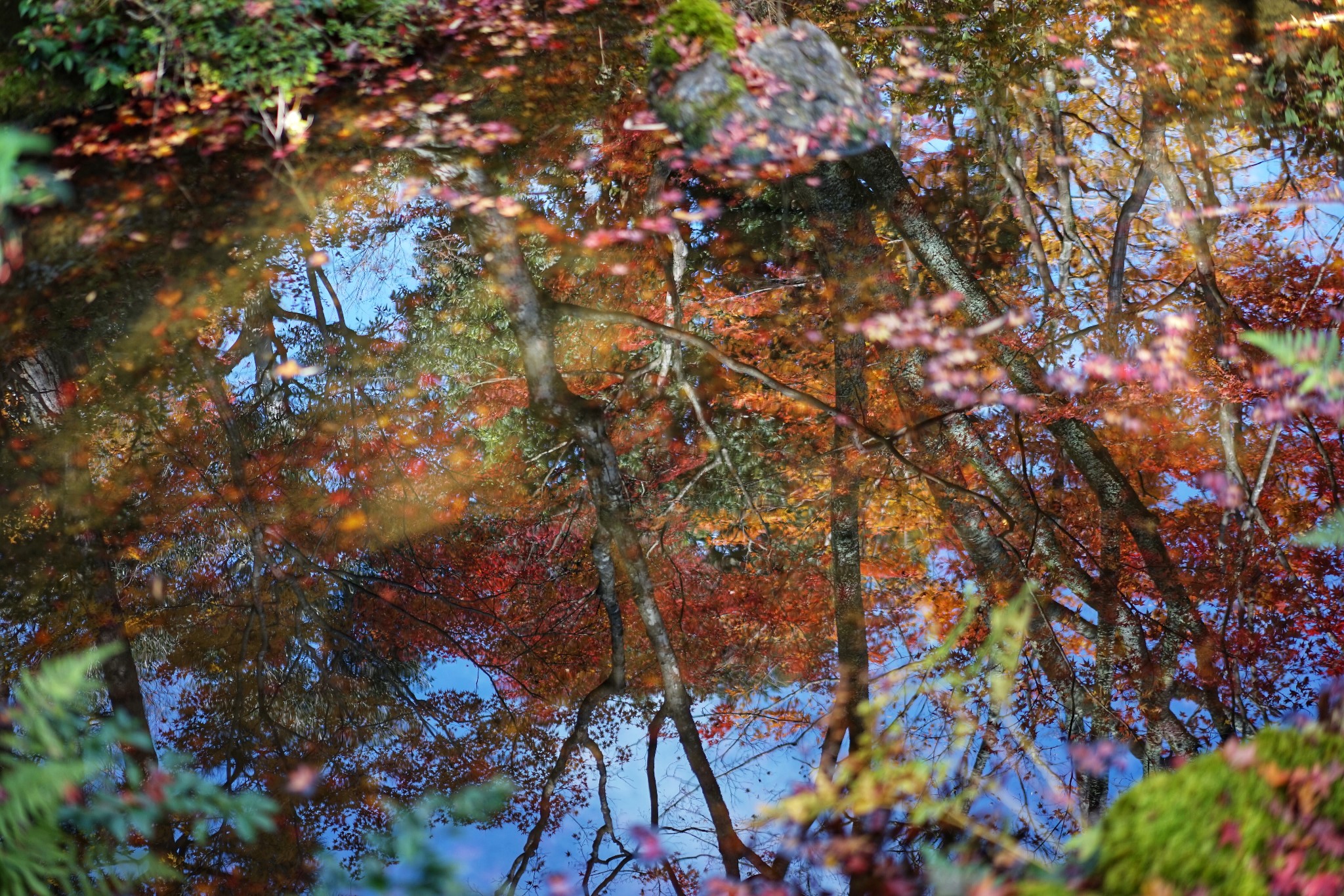 京都自助遊攻略