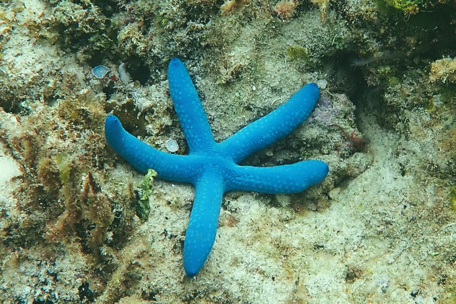 杜馬蓋地自助遊攻略