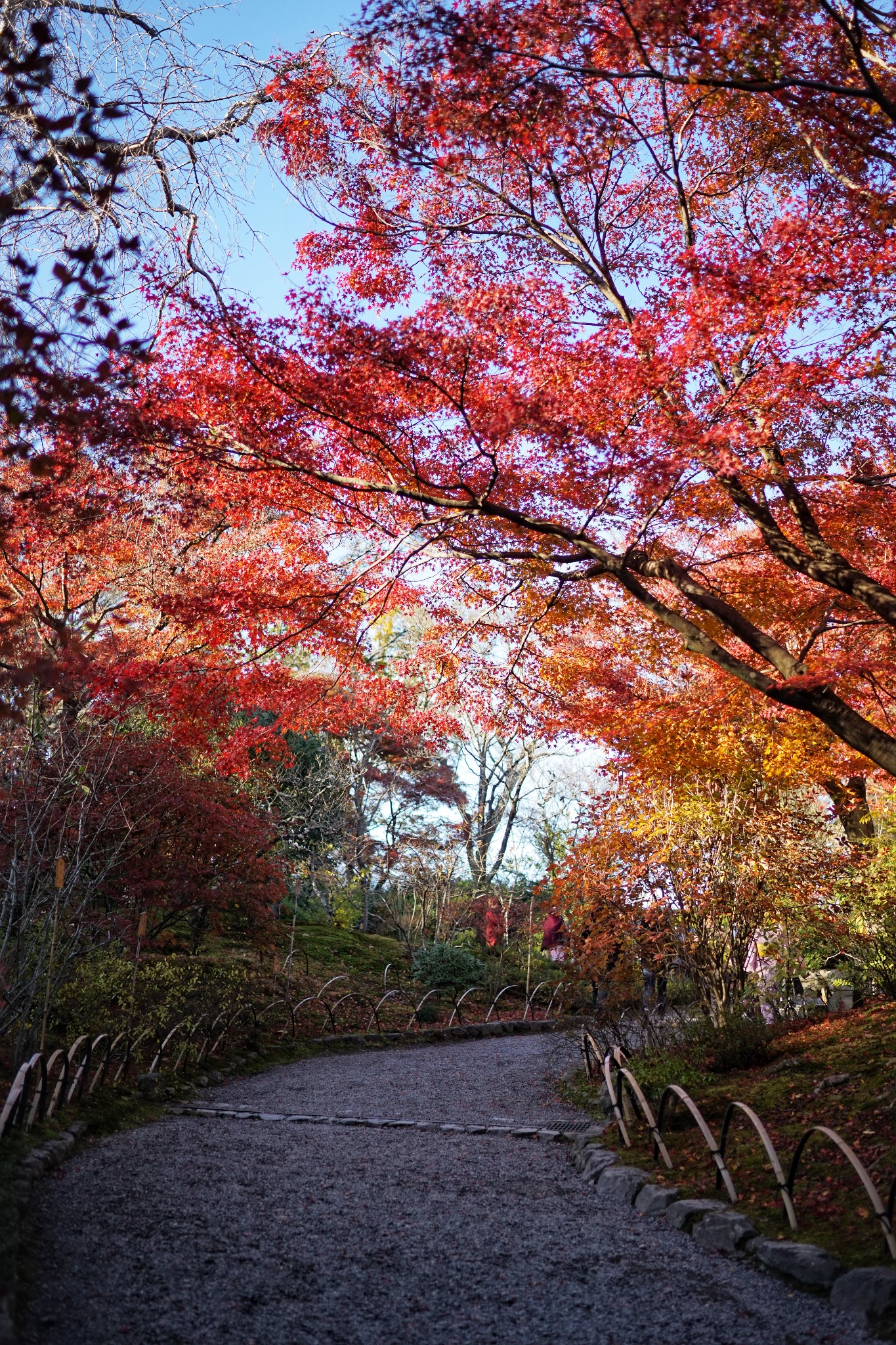 京都自助遊攻略