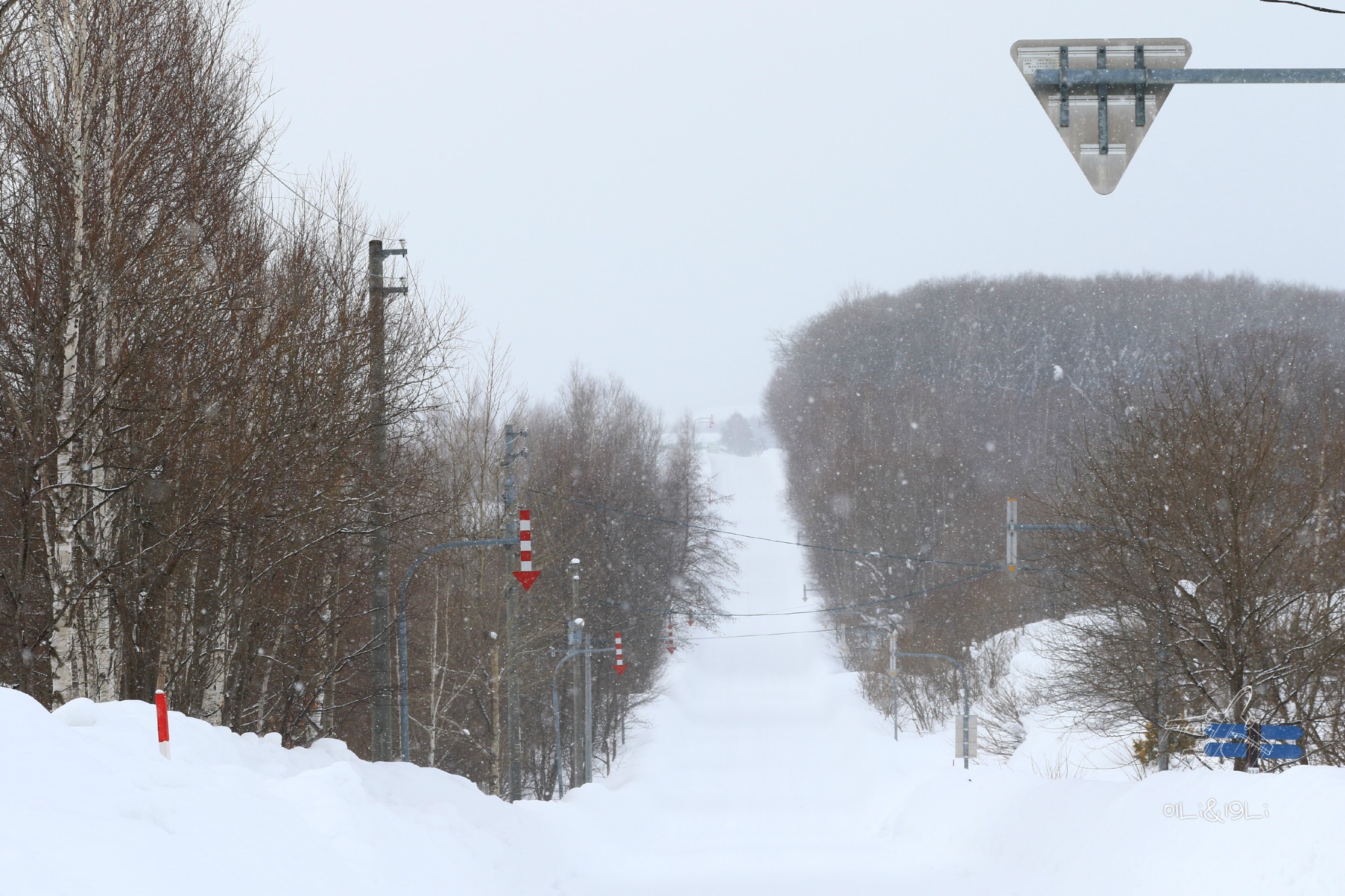 北海道自助遊攻略