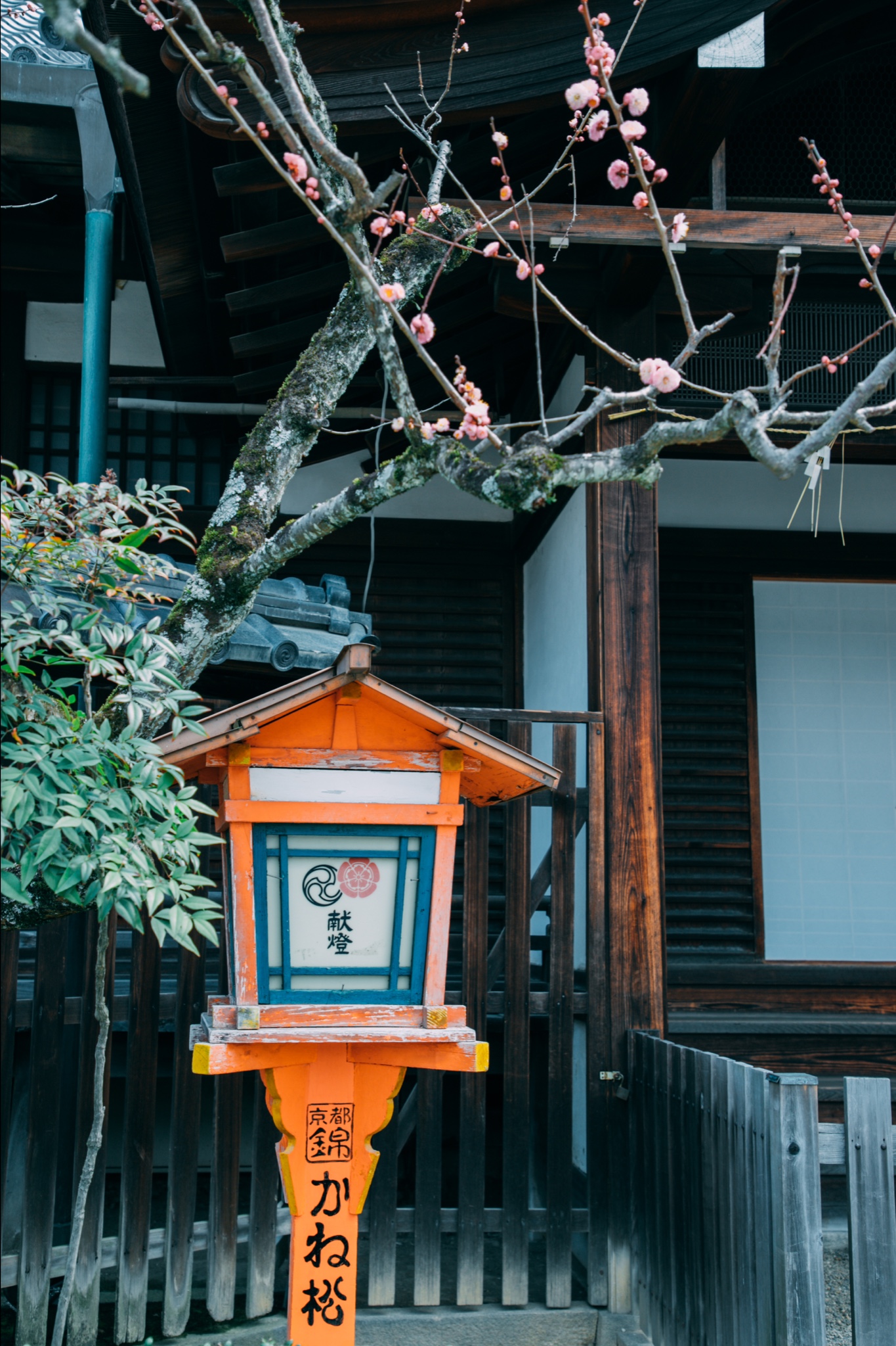 京都自助遊攻略