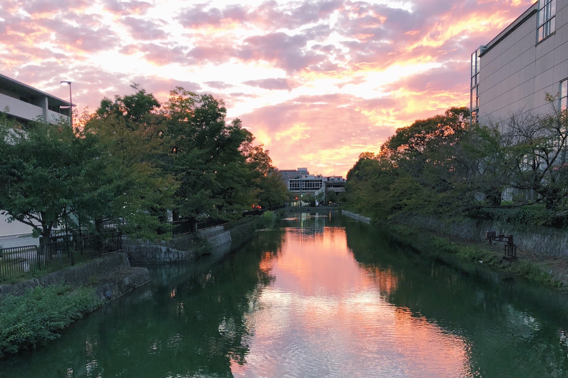 京都自助遊攻略