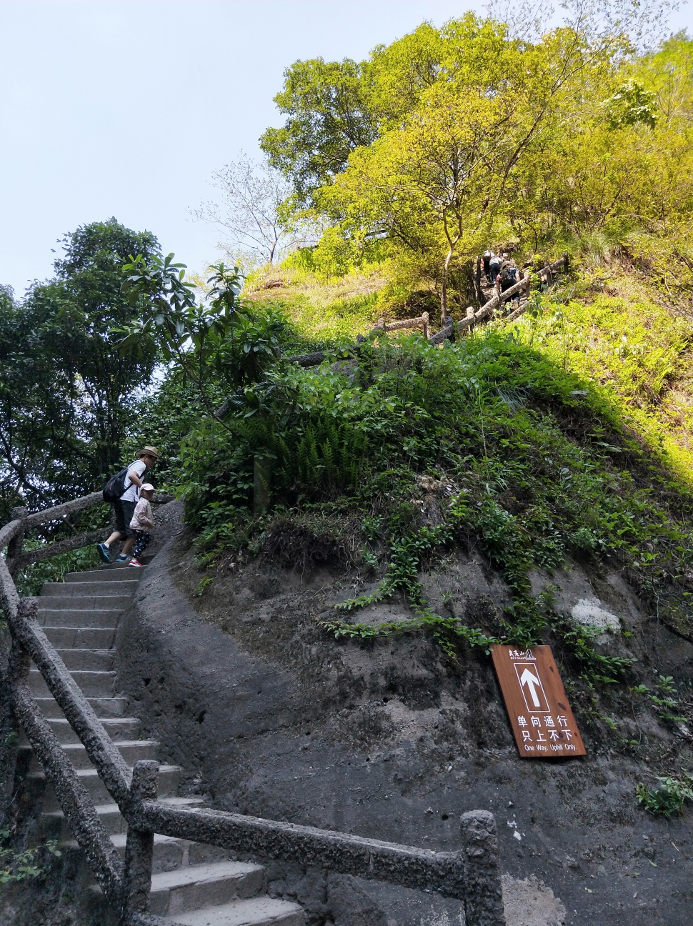 武夷山自助遊攻略