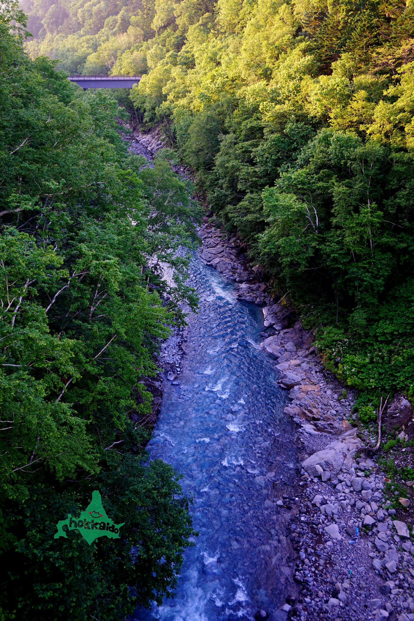 北海道自助遊攻略