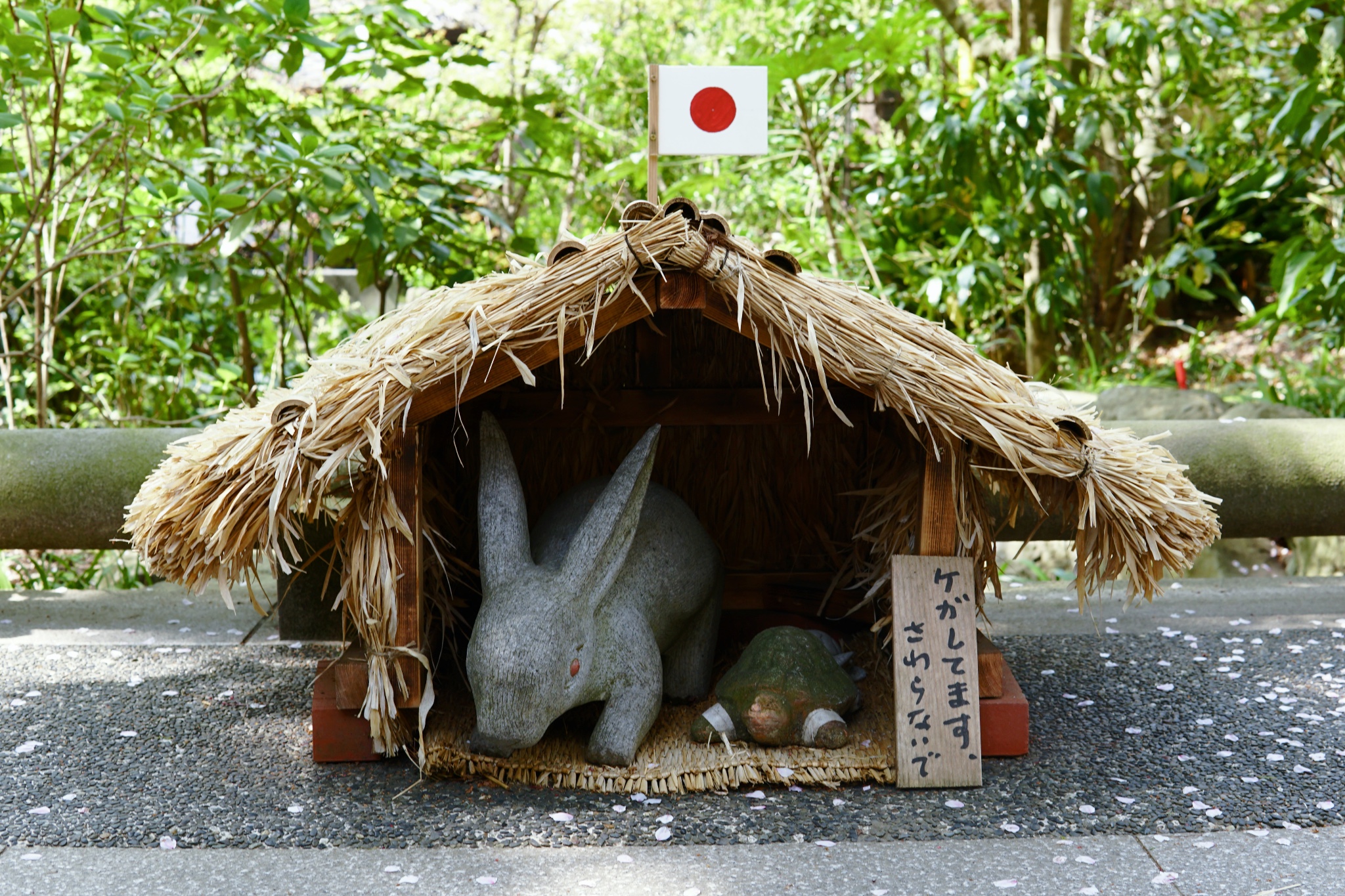 東京自助遊攻略