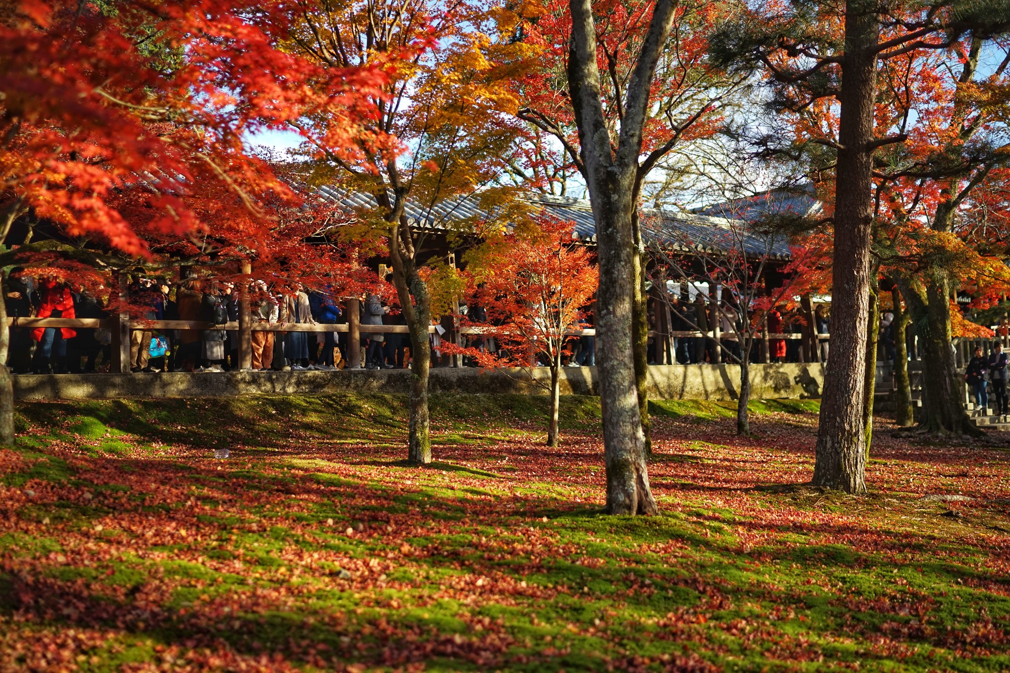 京都自助遊攻略