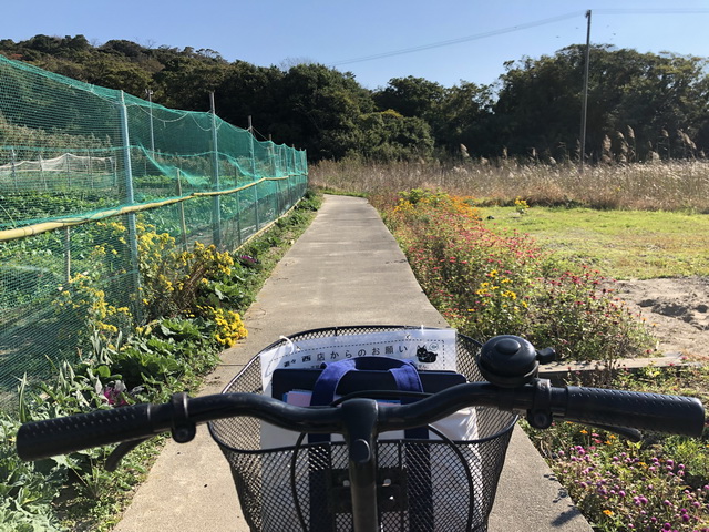 爱知县佐久岛——一场灵魂的净化之旅