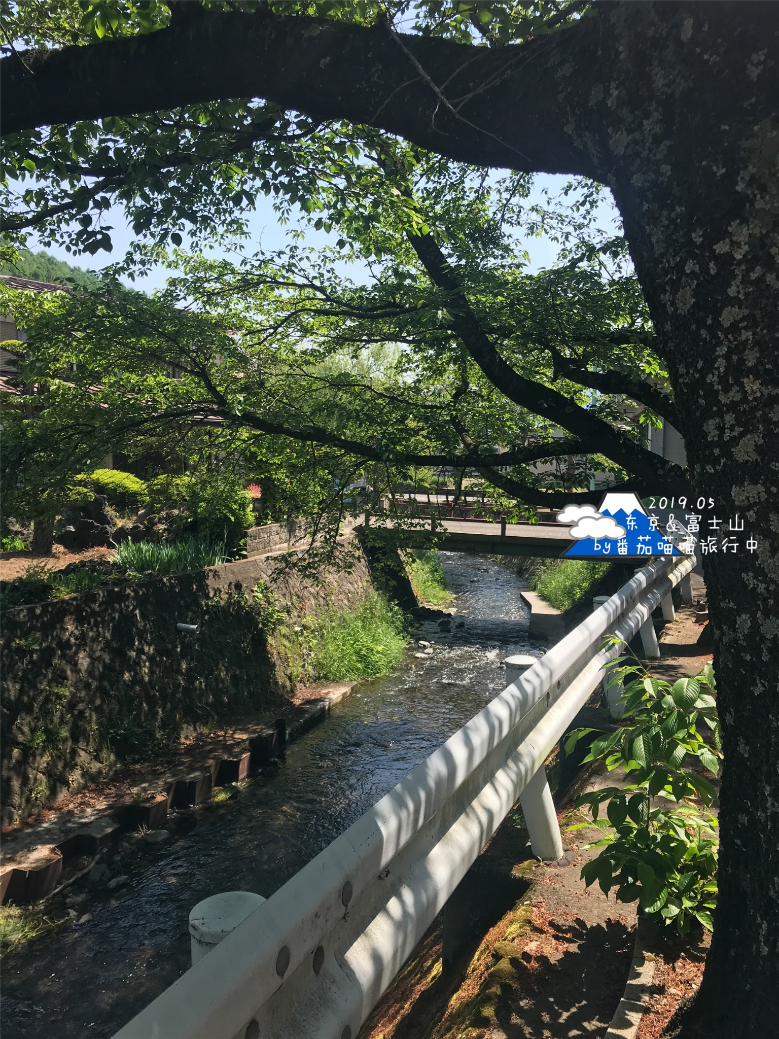 東京自助遊攻略