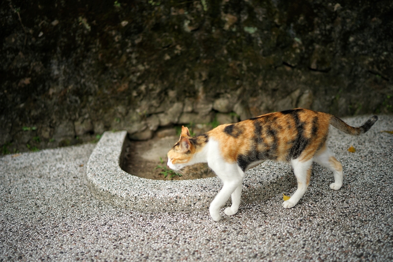 花蓮自助遊攻略