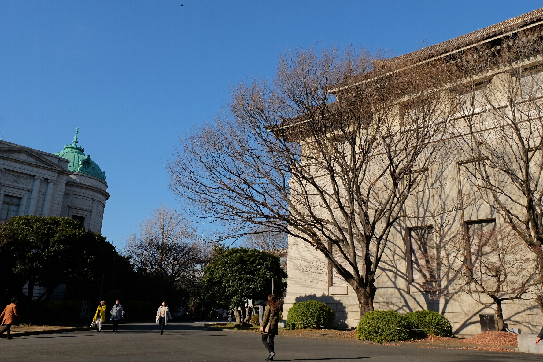 東京自助遊攻略