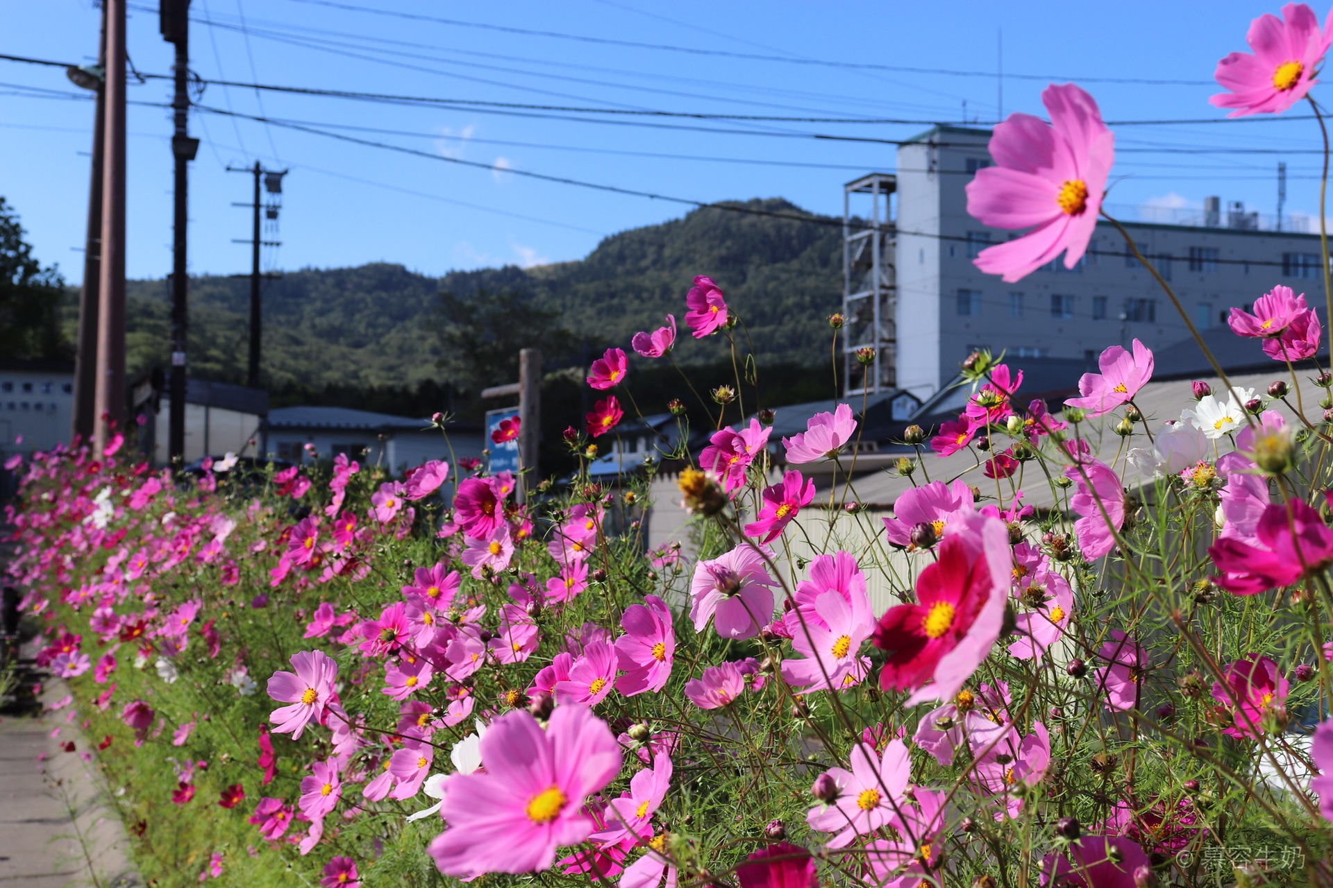 北海道自助遊攻略