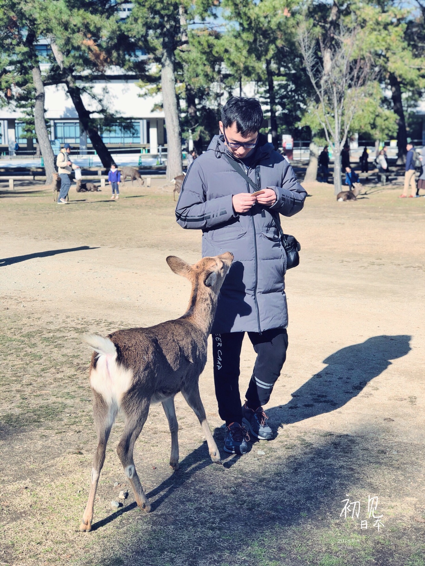 日本自助遊攻略