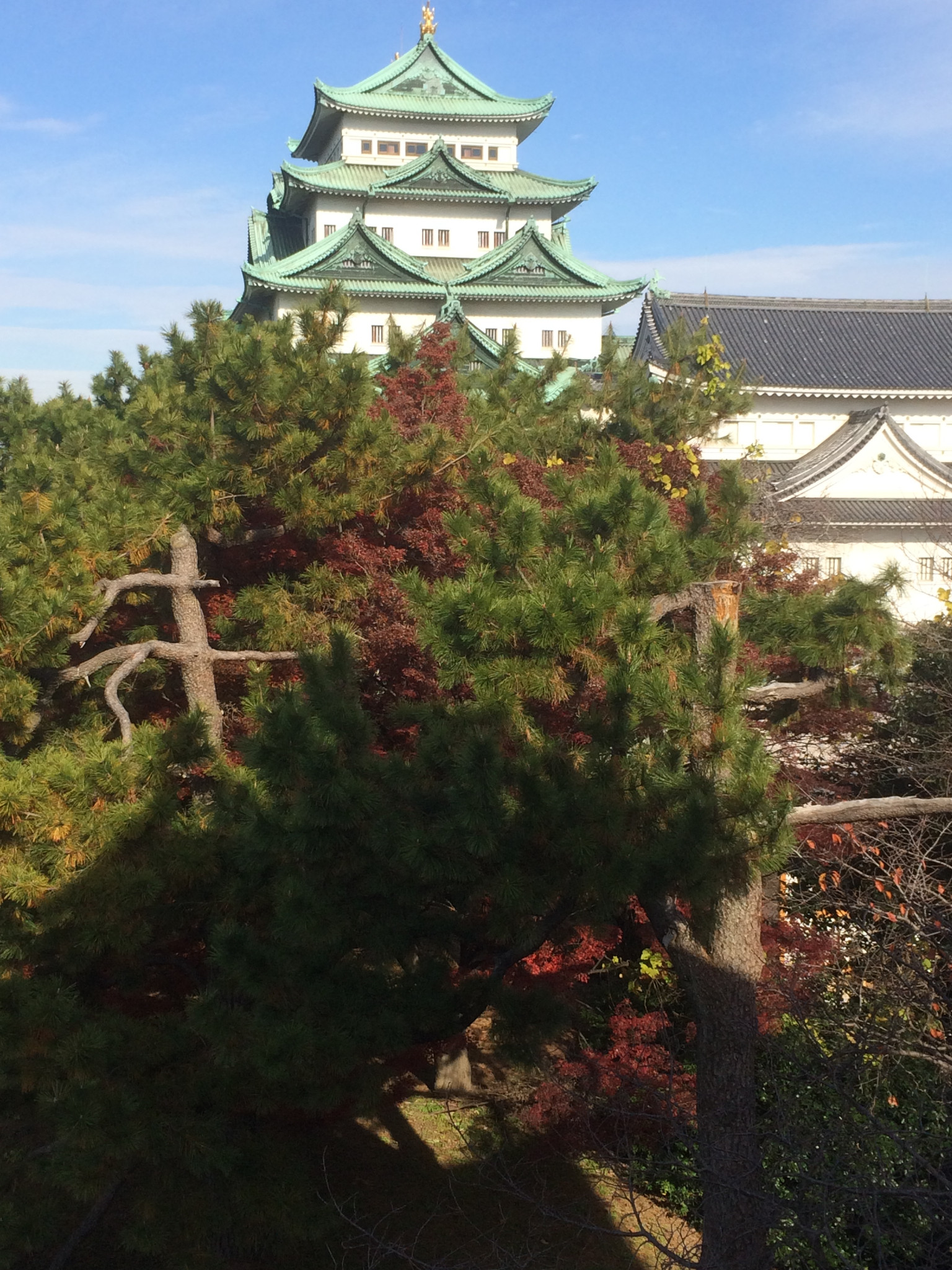 名古屋自助遊攻略